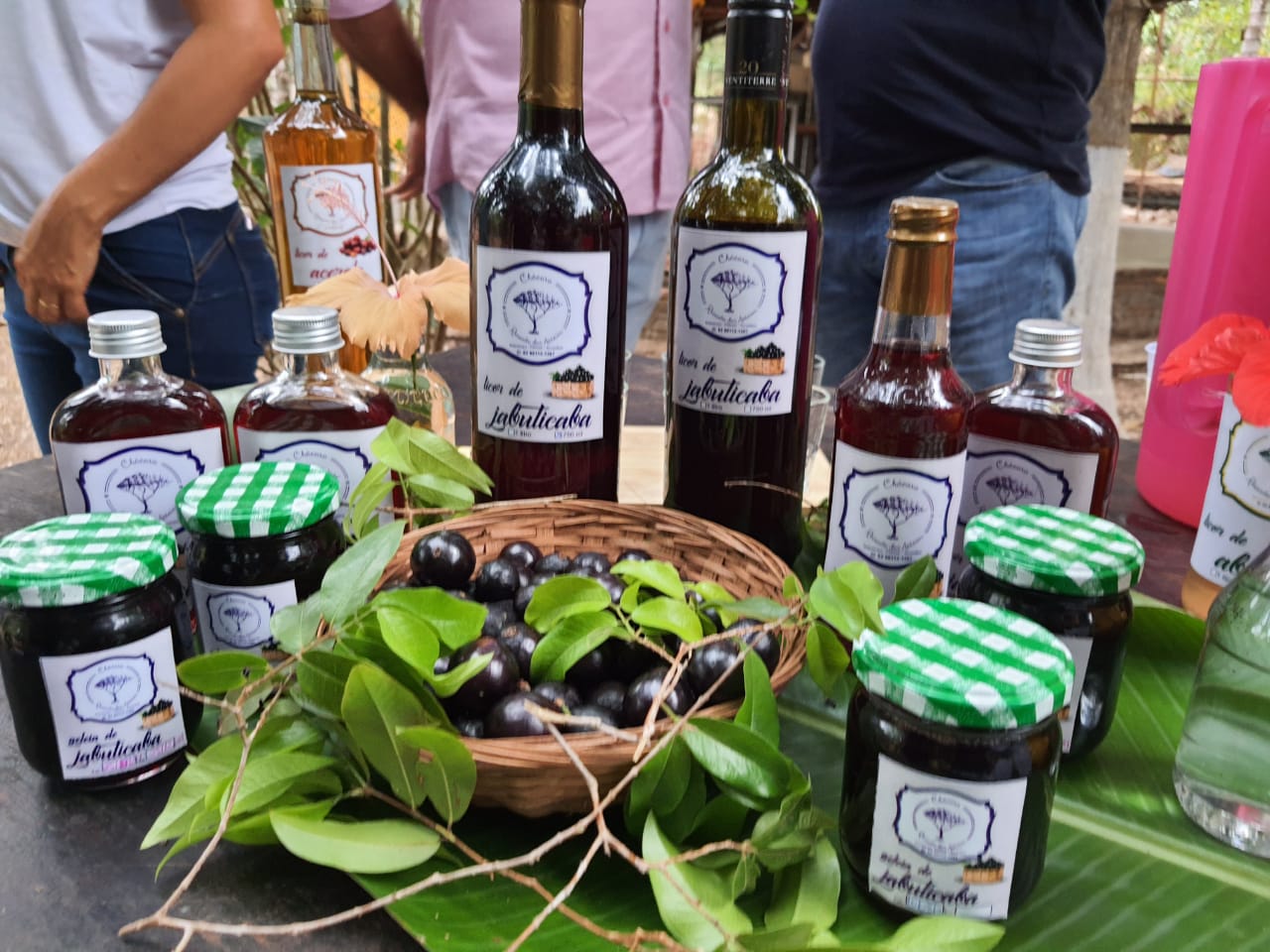 Técnicos da Agtur participam de reunião para planejamento da Festa da Colheita da Jabuticaba em Taquaruçu