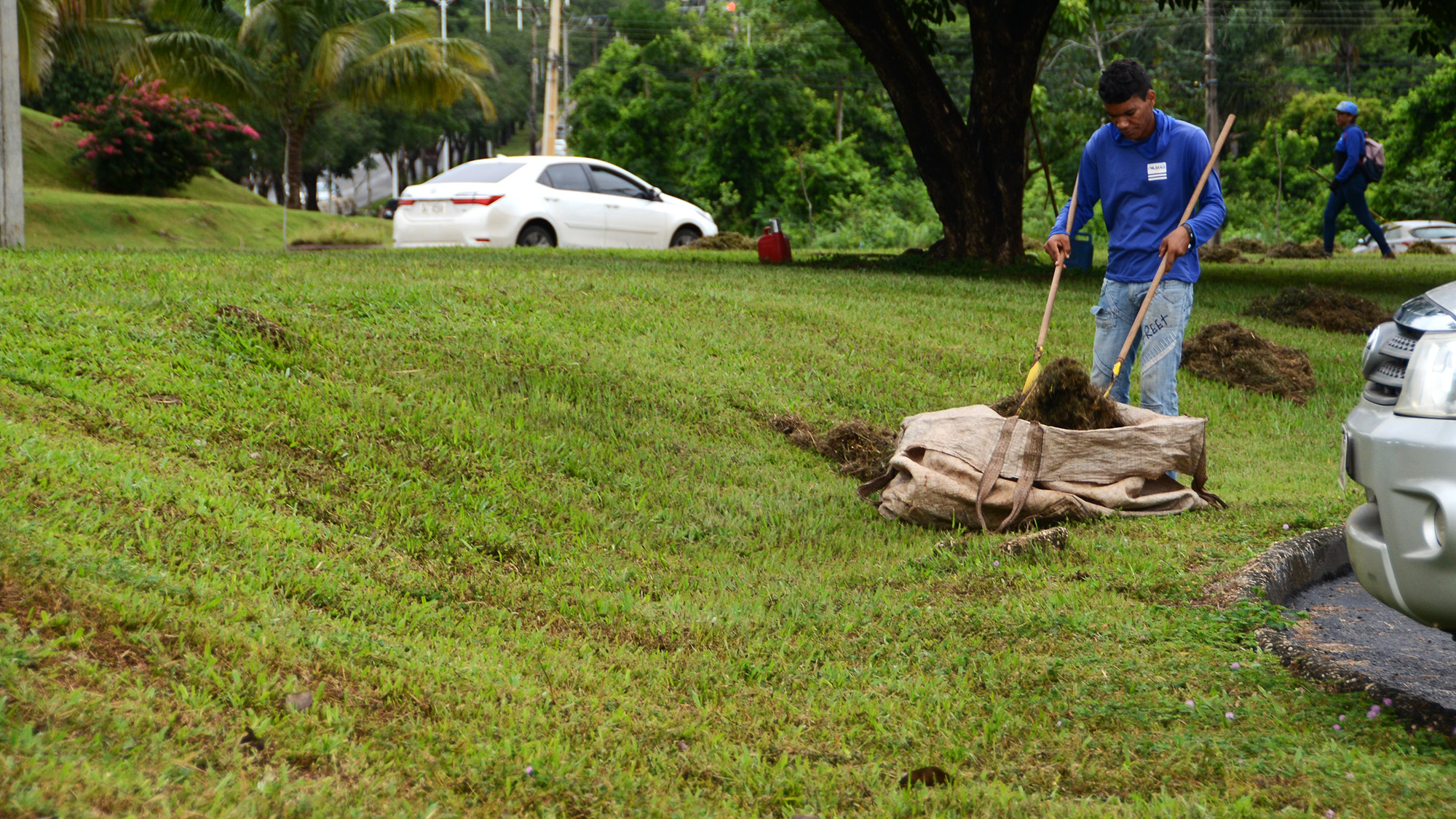 Confira quais ações de limpeza, jardinagem e manutenção de vias acontecem nesta segunda-feira, 02