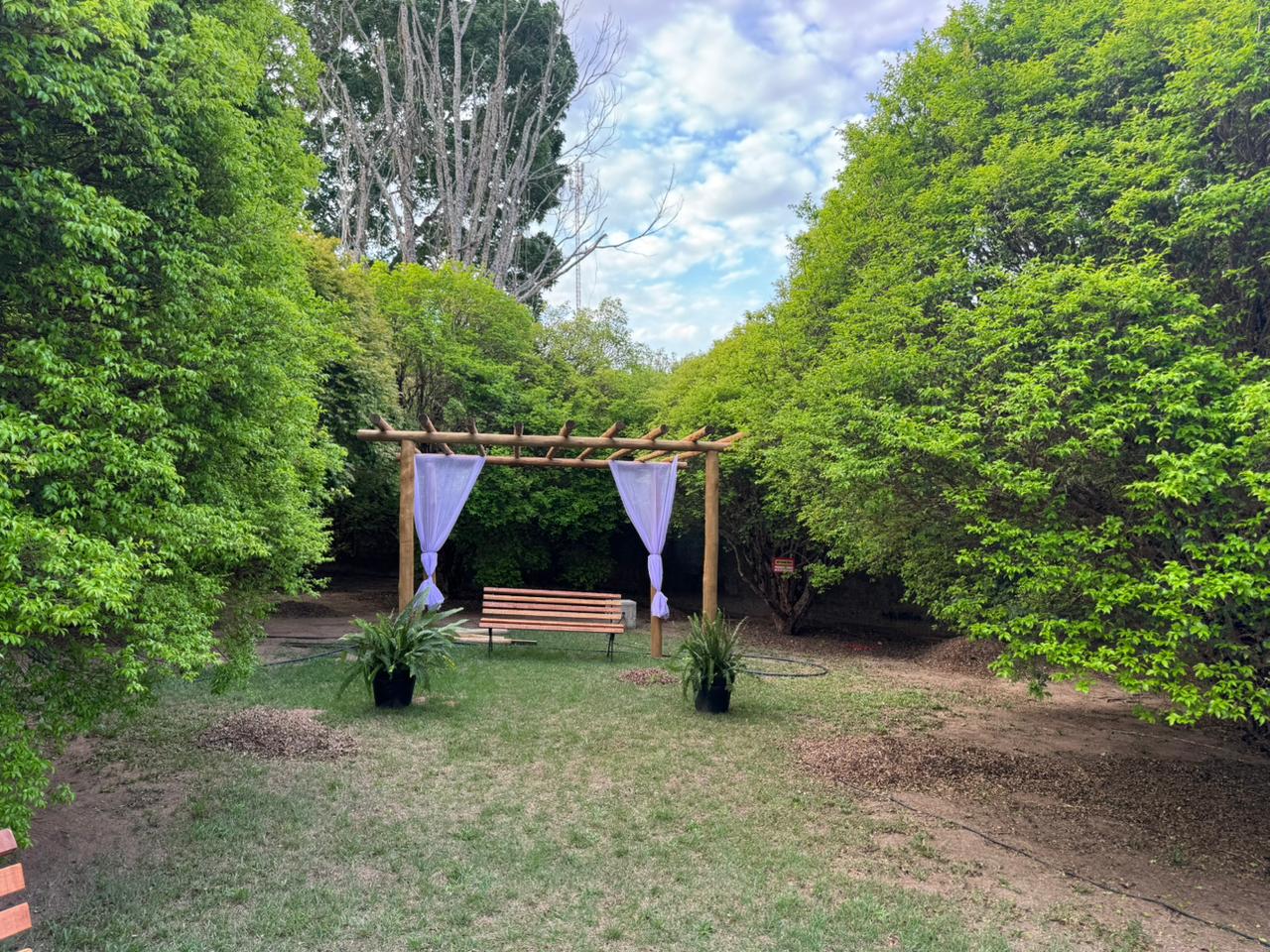 Pomares receberam limpeza e estrutura para receber turistas para Festa da Colheita da Jabuticaba