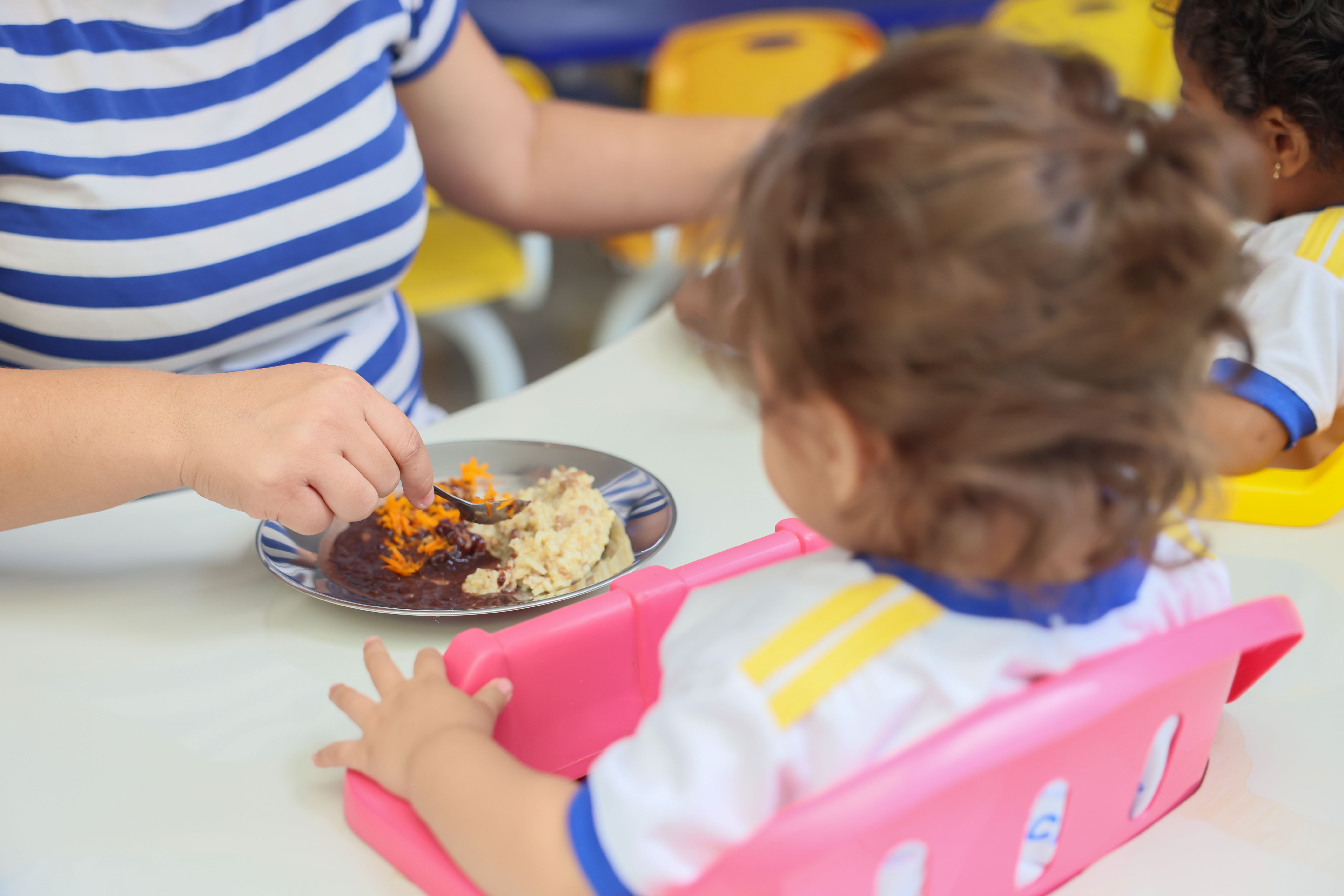 Para assegurar a qualidade da merenda escolar servida aos alunos, os profissionais que atuam no recebimento e armazenamento de gêneros alimentícios farão a formação