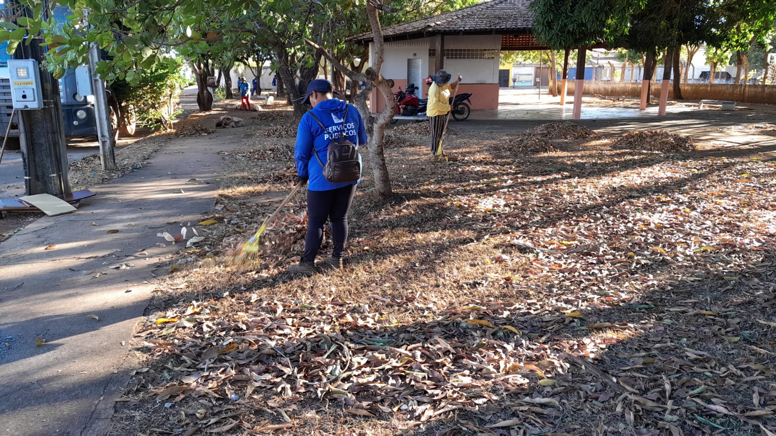 Jardim Janaína, Jardim Laila e Lago Sul recebem roçagem