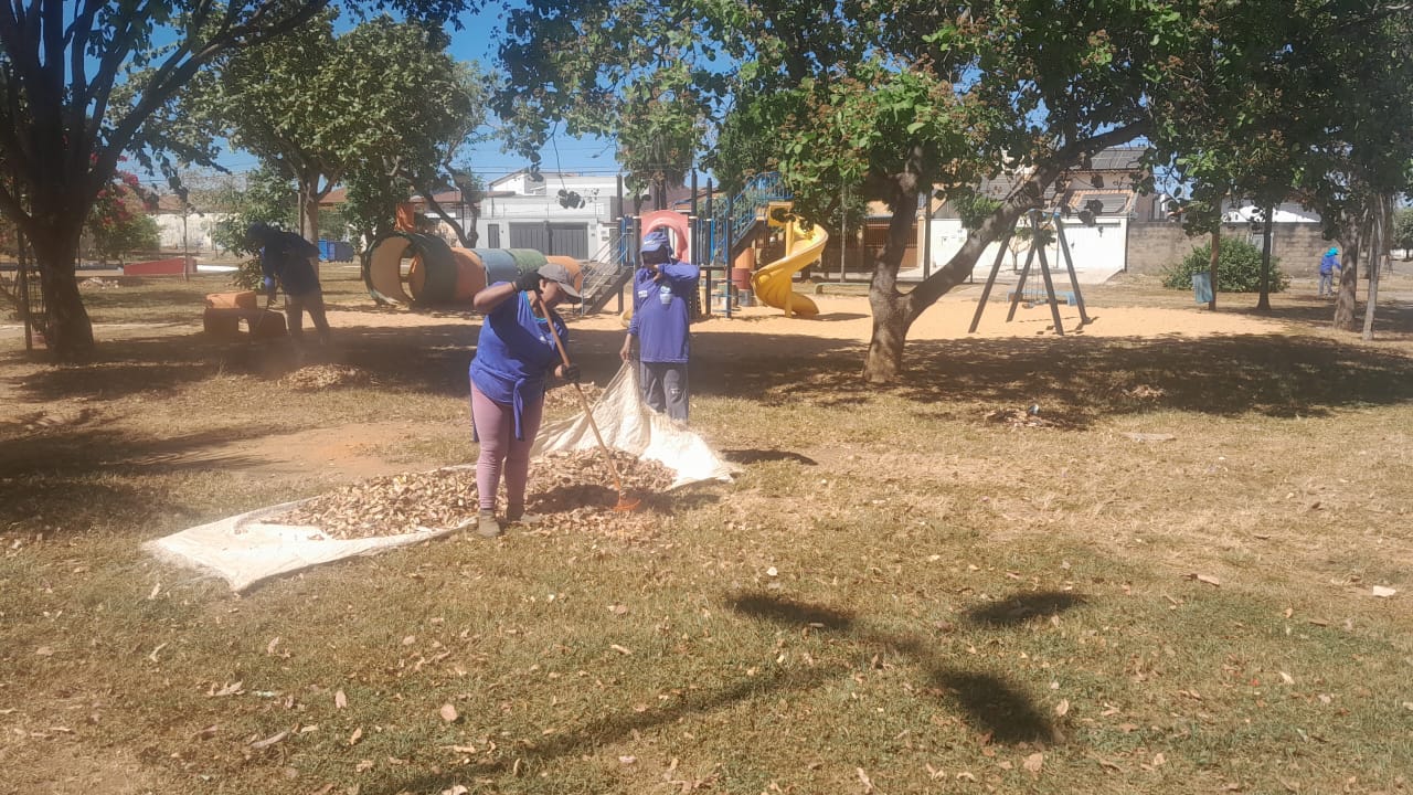 Limpeza e rastelamento na 806 sul