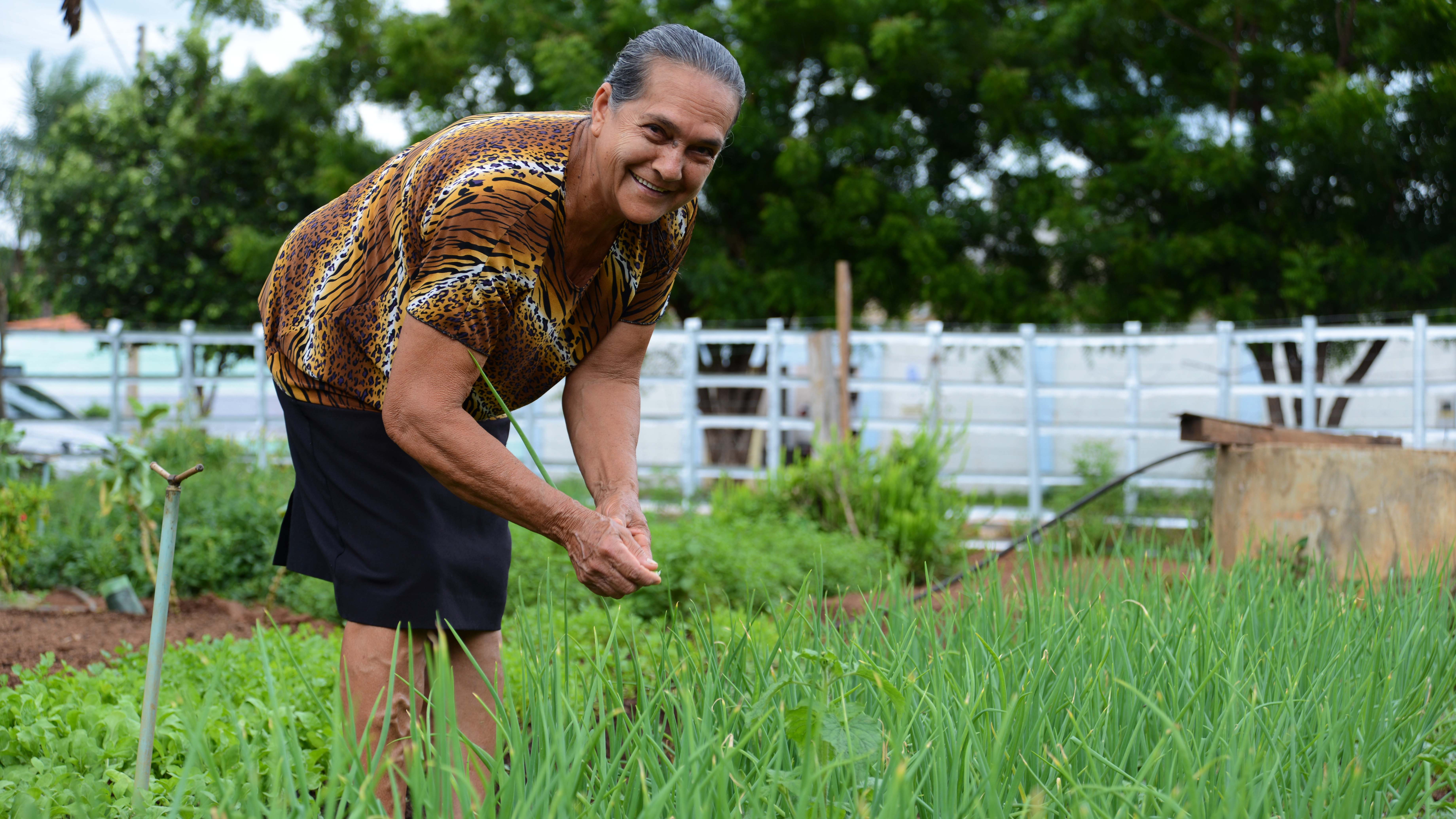 Casal de moradores transforma lote baldio em área produtiva com hortaliças, frutas e cereais