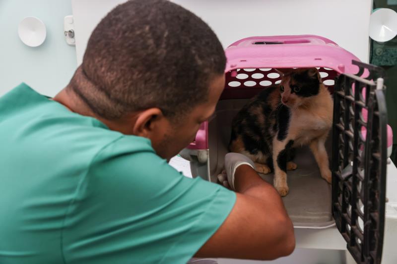 Agendamento para castração de cães e gatos começa no dia 27 de janeiro