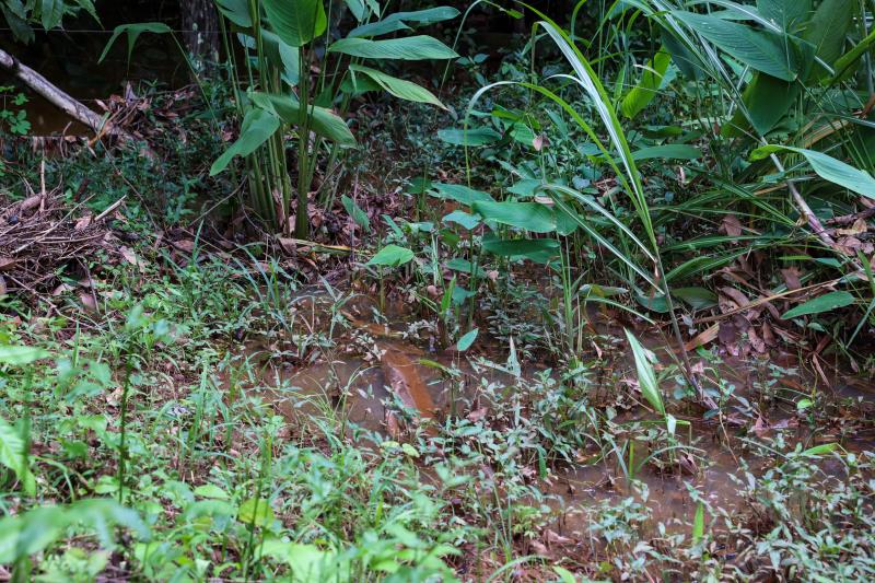 Impup realiza segunda oficina comunitária sobre o Parque Linear do Córrego Machado