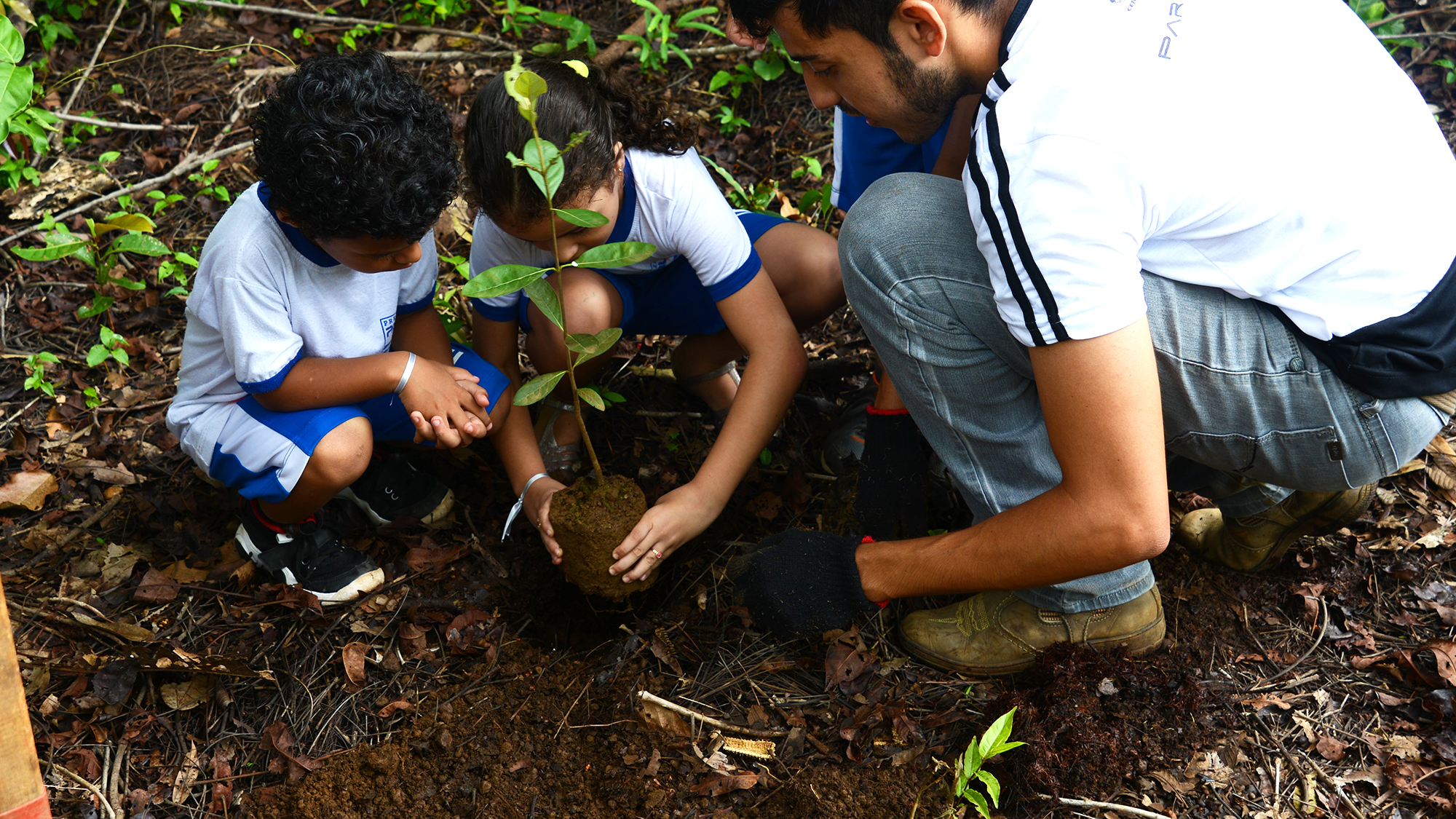 Alunos dos Cmeis de Palmas visitam projeto de educação ambiental da Ulbra