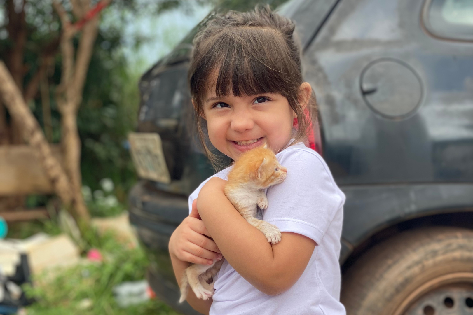 Prefeitura de Palmas promove ArraiAU dos Bichinhos na segunda edição da Feira de Adoção de cães e gatos