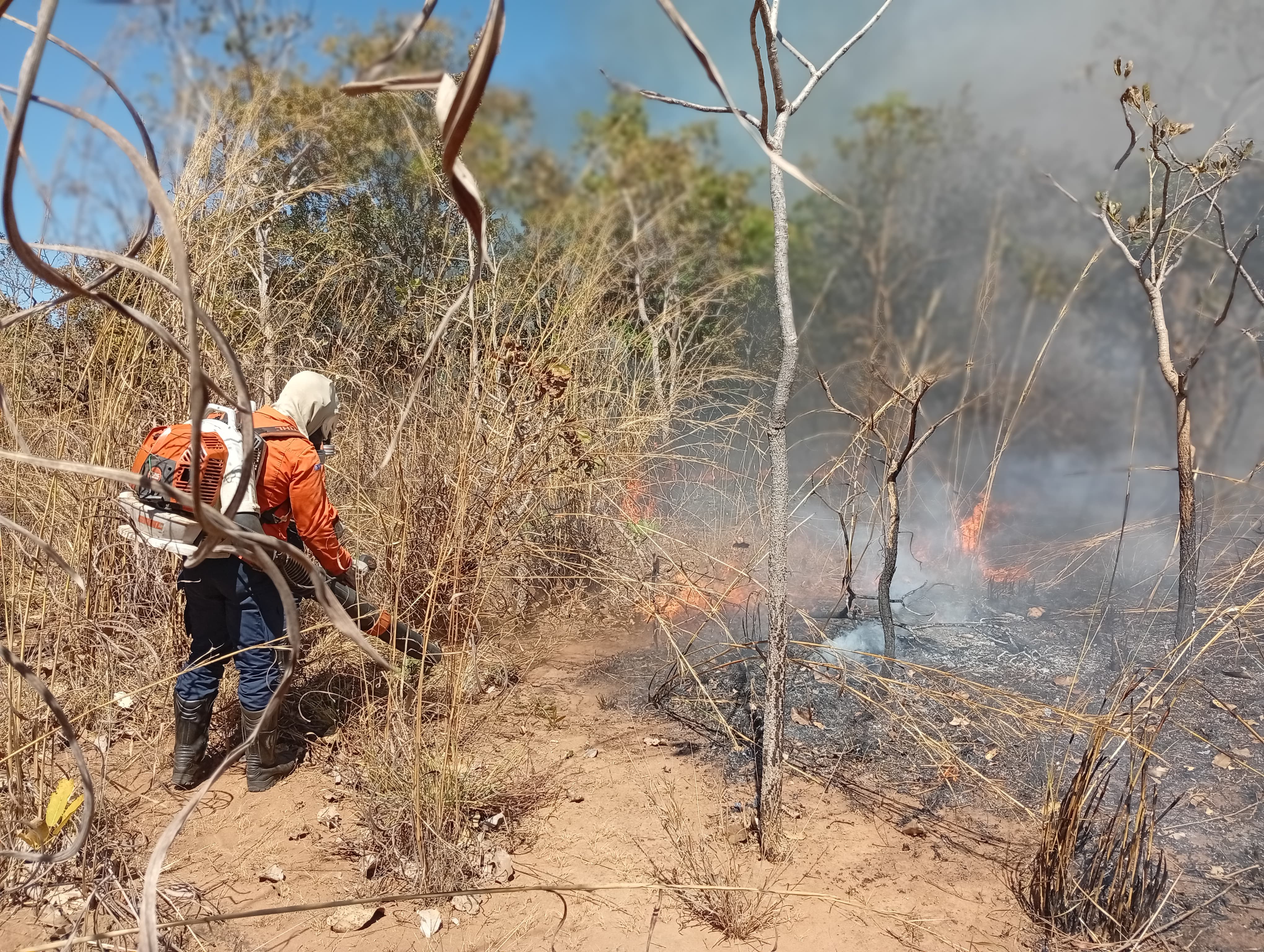 Brigadistas usaram bombas costais e sopradores para debelar as chamas
