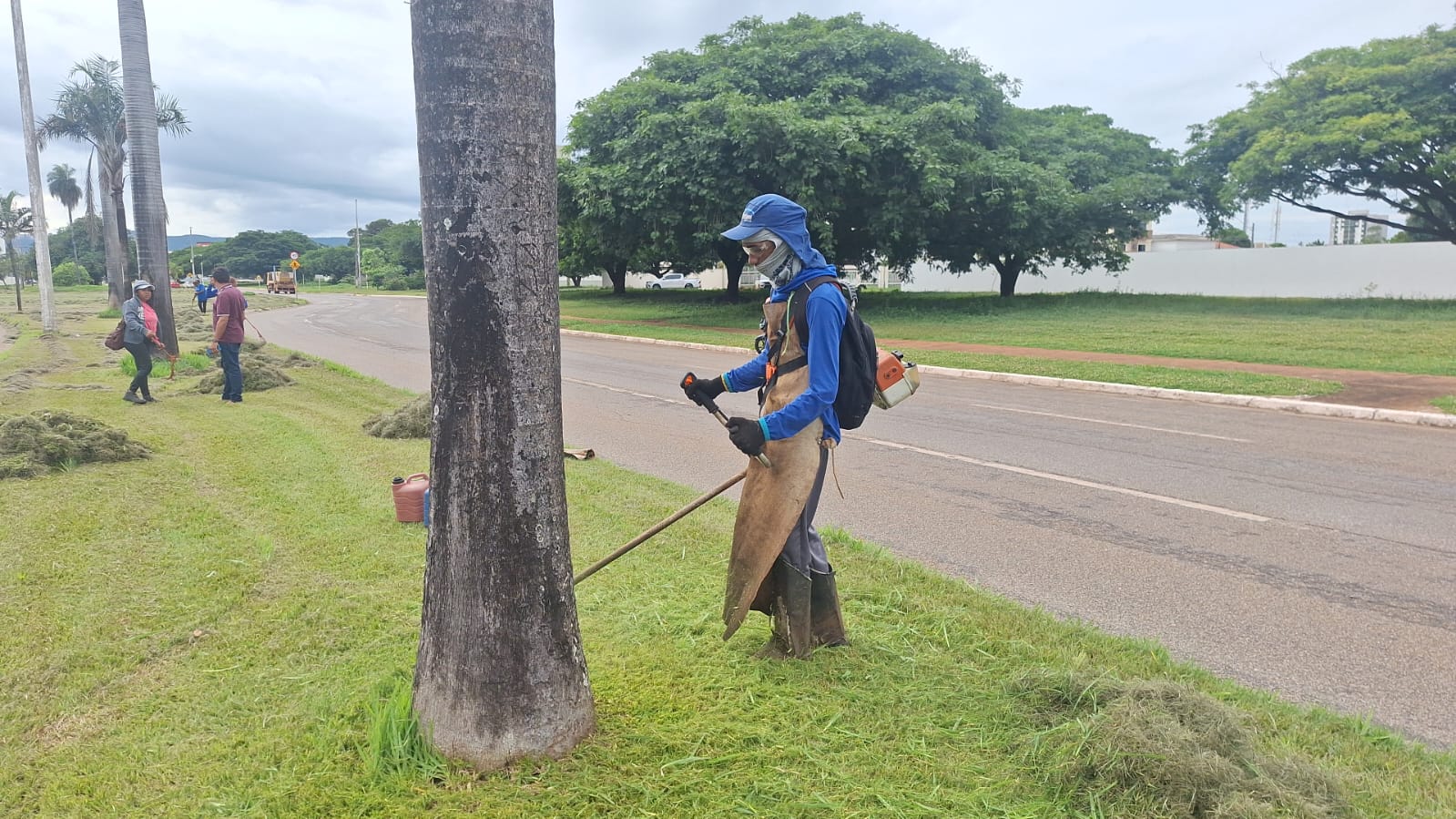 Roçagem realizada na Avenida Jk