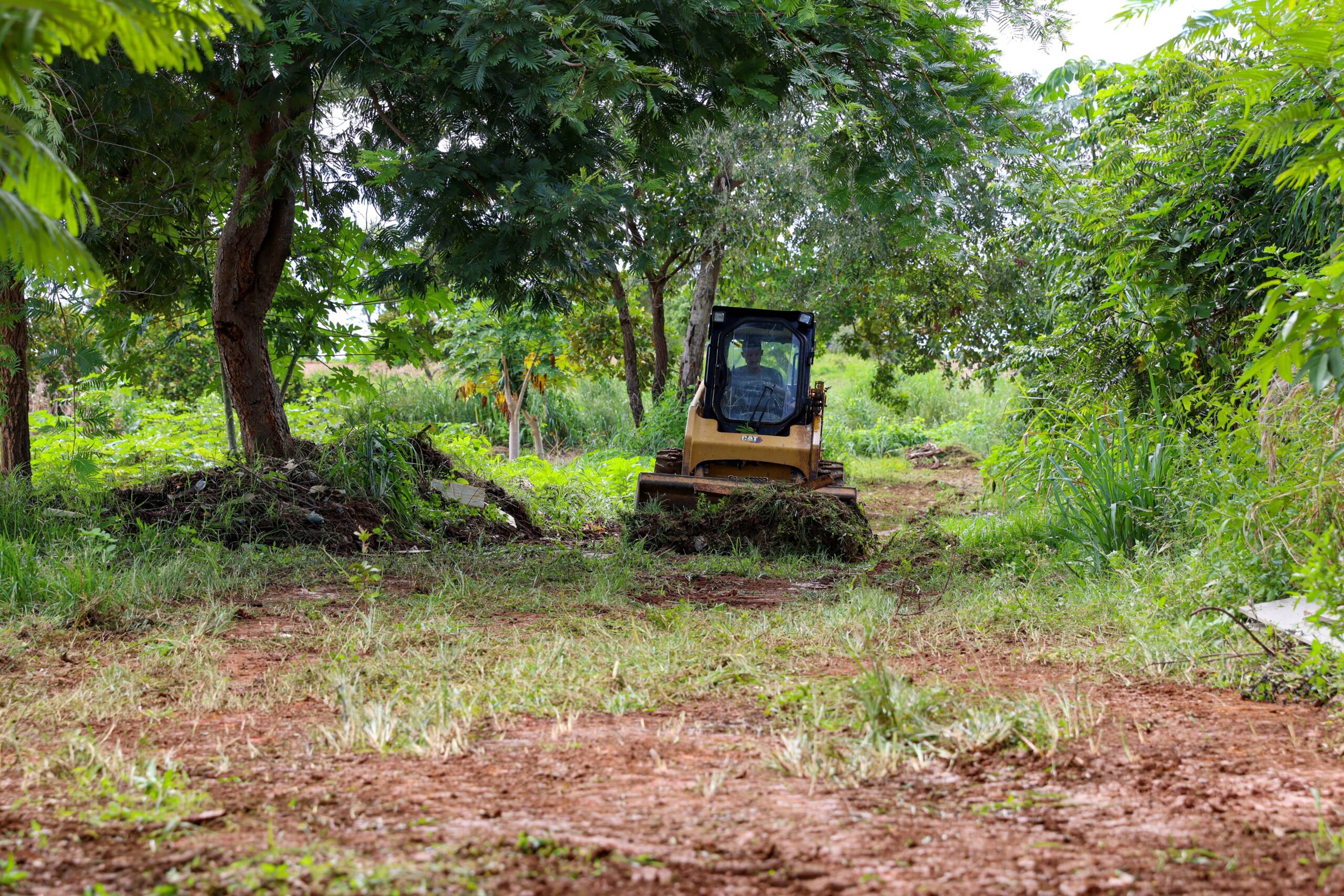 Proprietários devem limpar lotes baldios para evitar multa e prevenir focos de dengue