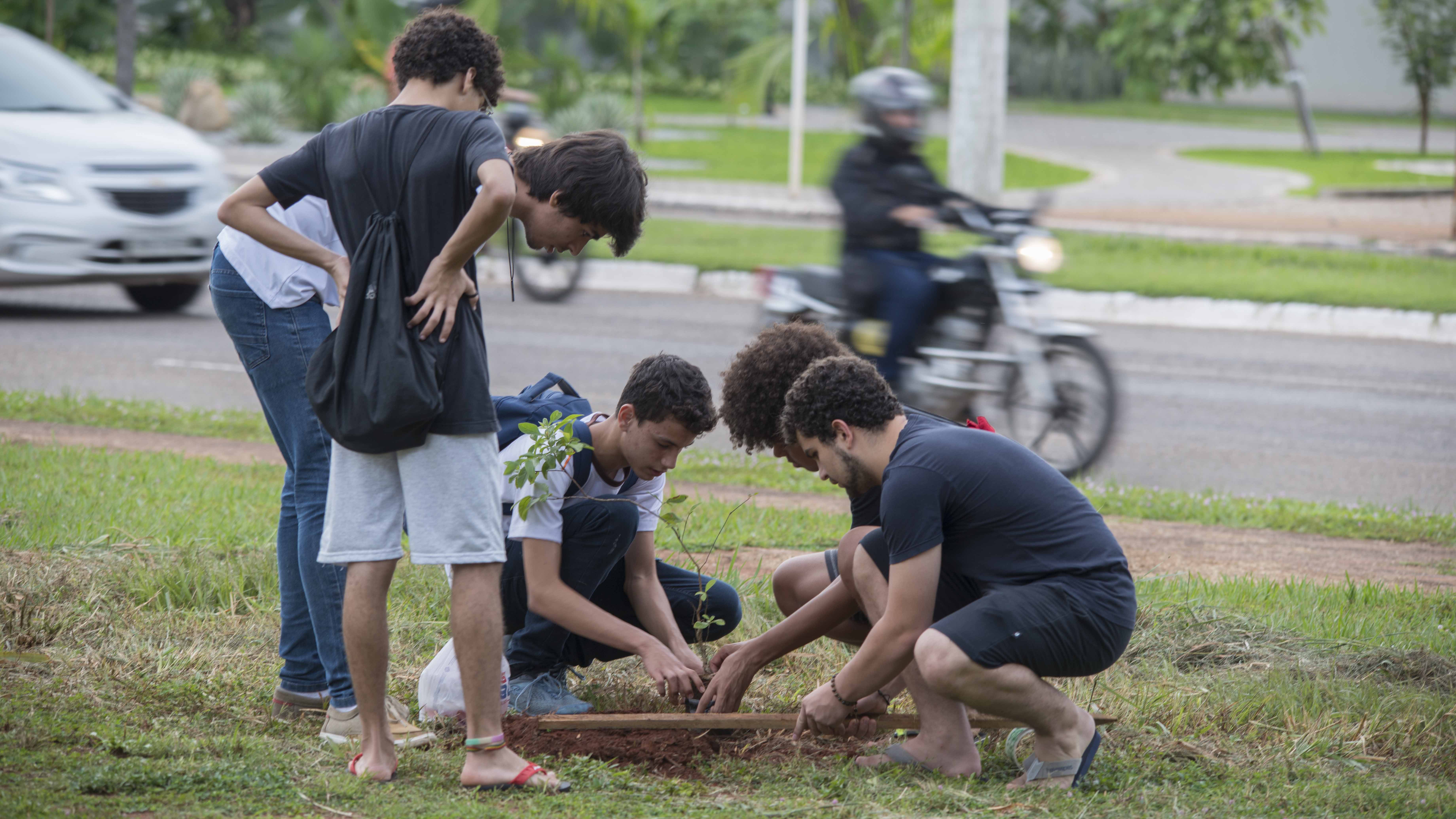 ‘MudaClima’: Fundação de Meio Ambiente, comunidade e empresas realizam plantio de árvores na área verde da Arse 13
