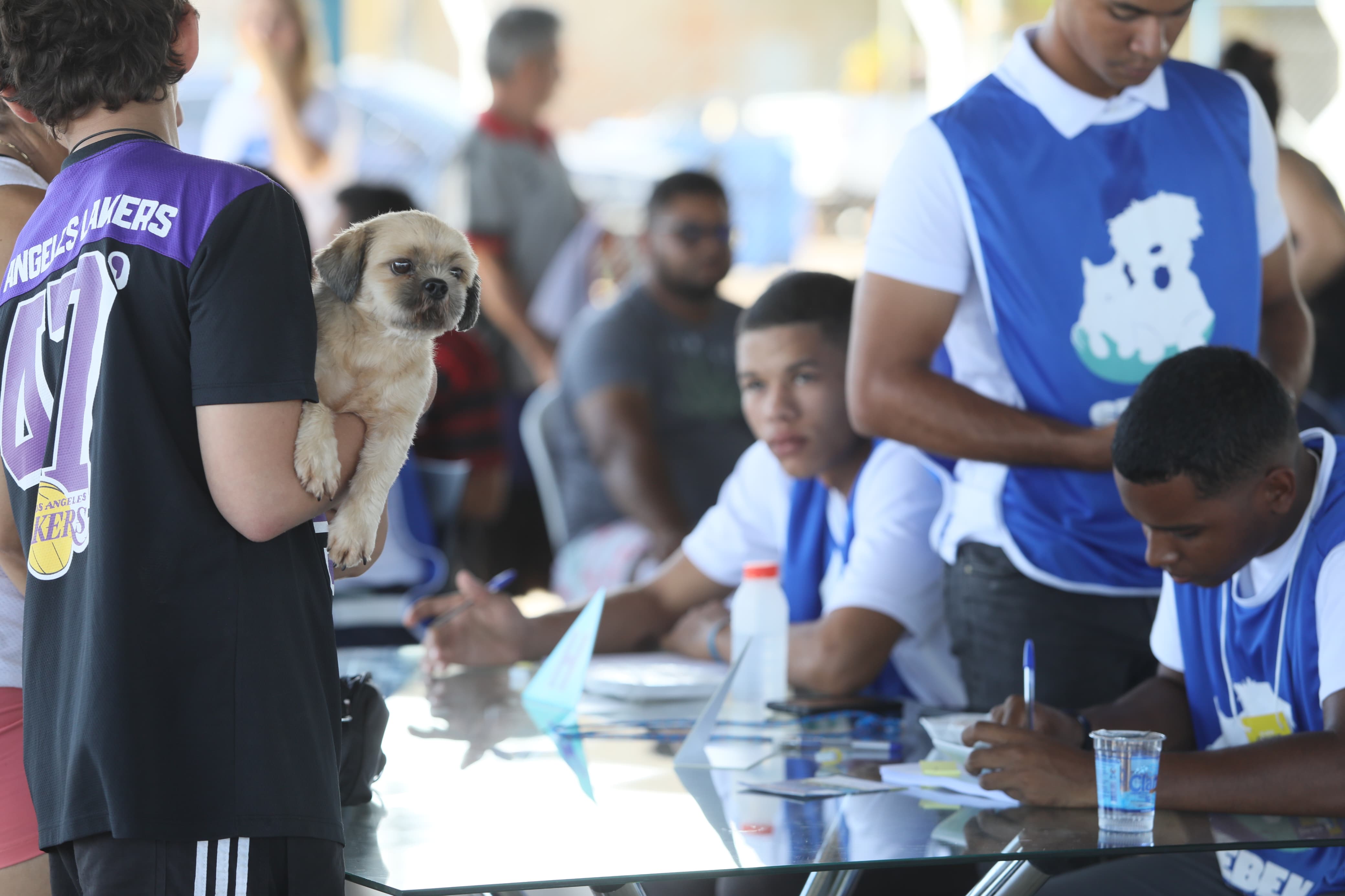 Ações integradas pela saúde e proteção dos animais