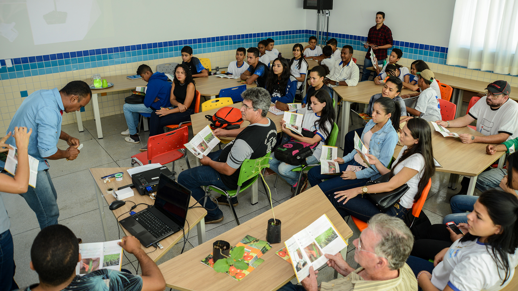 Agosto Verde: enxertia de tomateiro em jurubeba gera plantas mais resistentes às pragas