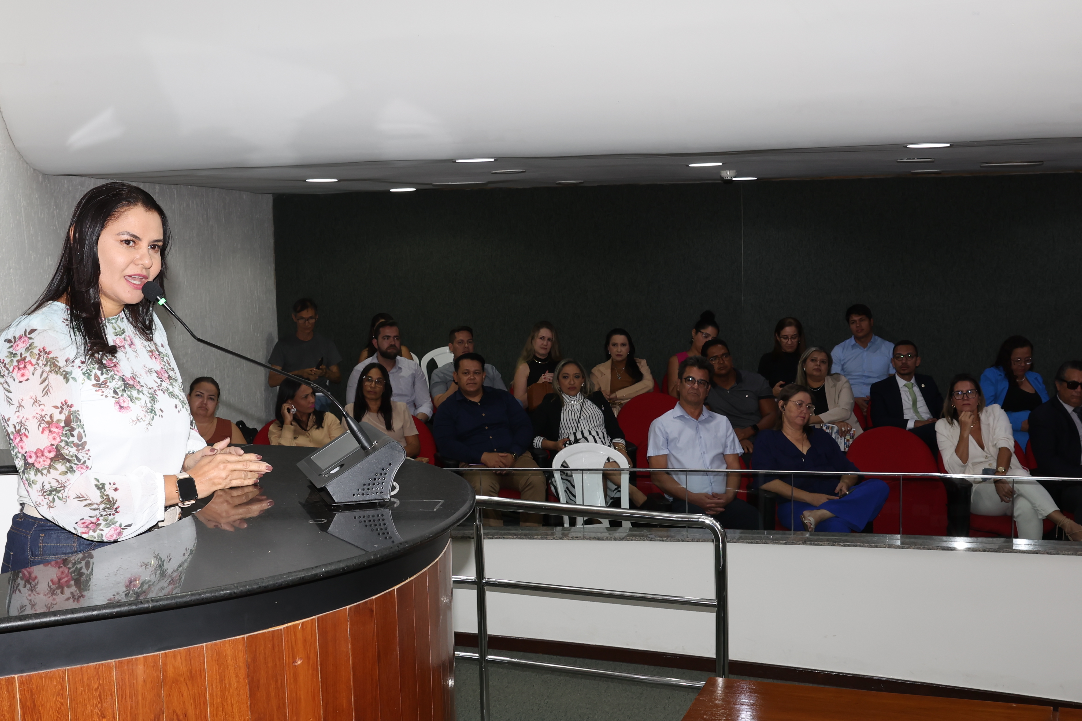 Secretária Anice Moura representou o prefeito Eduardo Siqueira Campos no seminário que debateu Novo PNE 