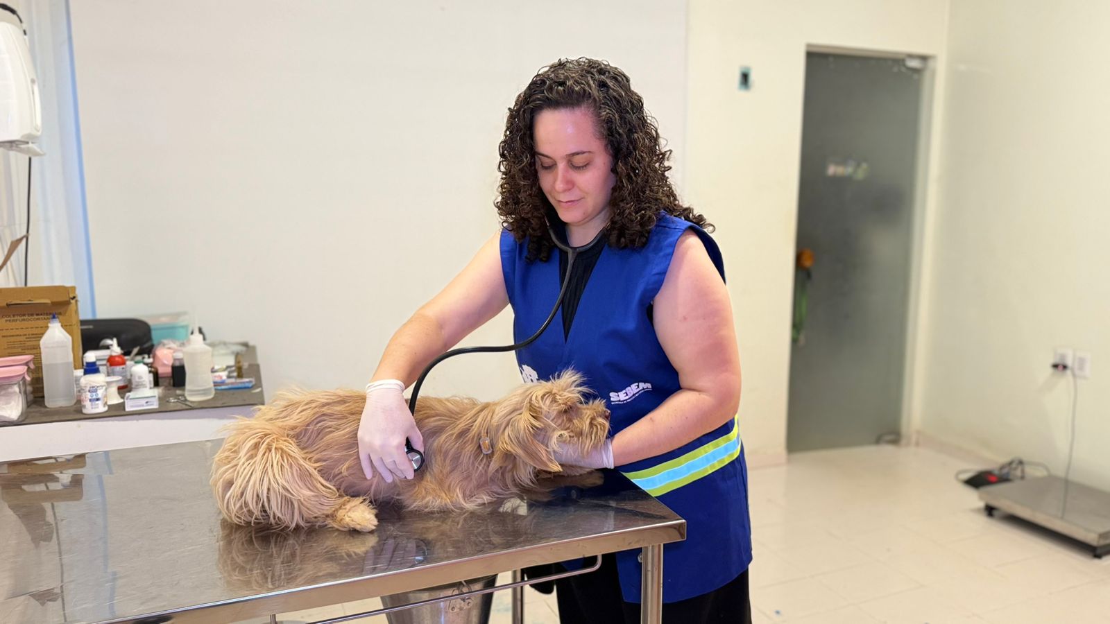 Prefeitura de Palmas alerta para cuidados com a saúde do coração dos animais