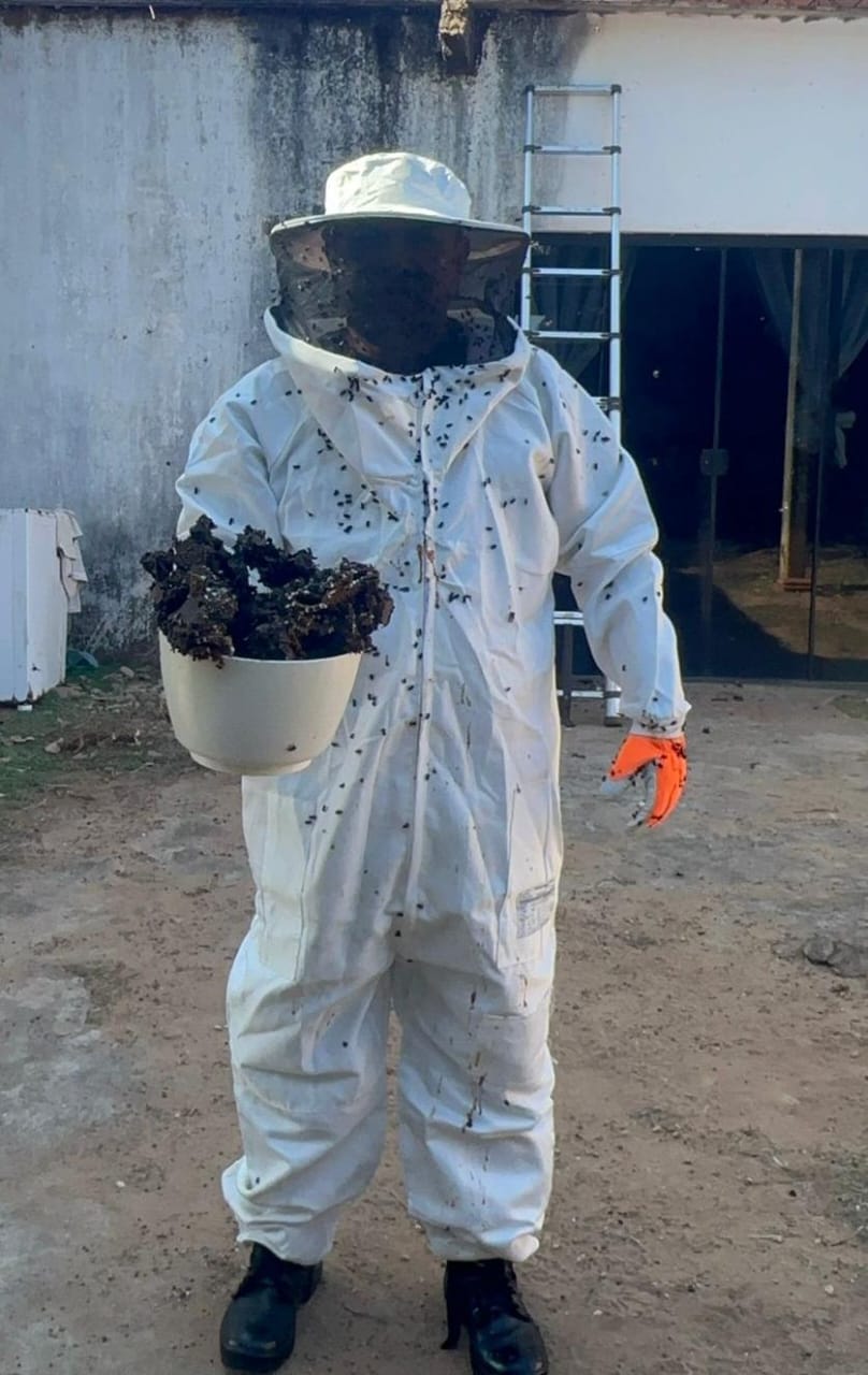 Enxame de abelhas estava alojado numa residência na zona rural de Palmas