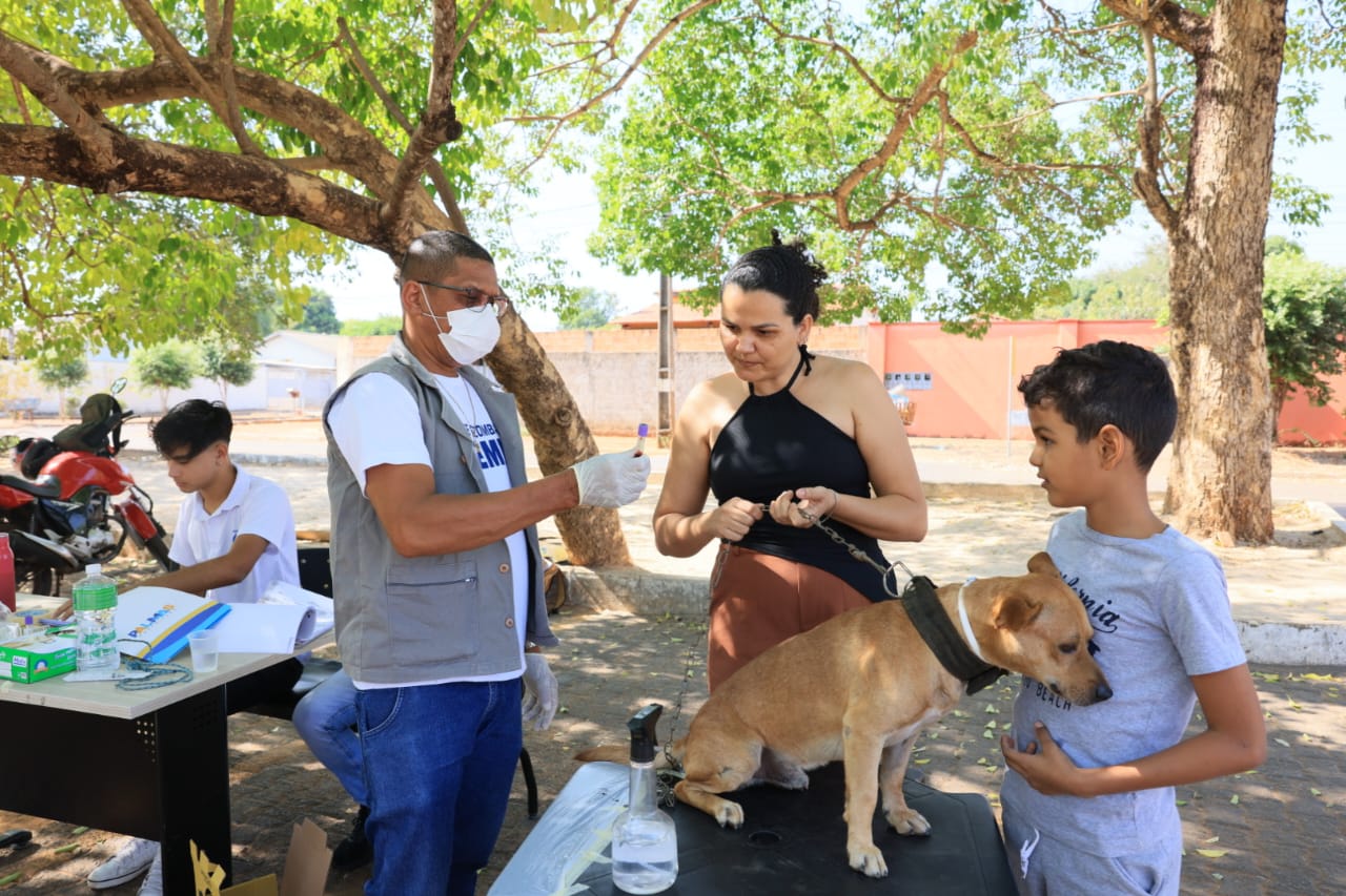 Jardim Aureny III recebe ação de encoleiramento e testagem contra leishmaniose visceral em cães