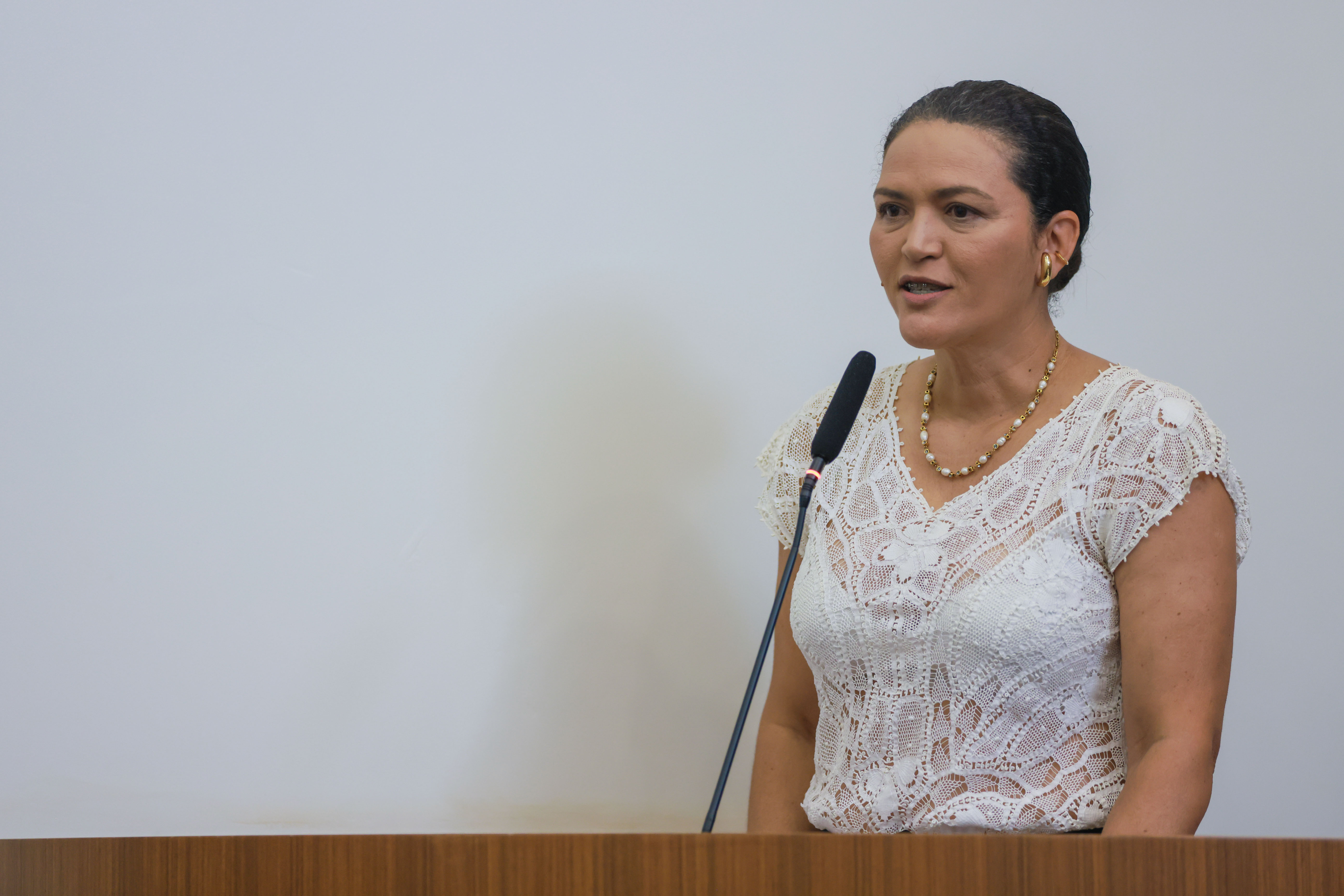 A presidente do Sindicato dos Jornalistas do Tocantins, Alessandra Bacelar, também participou da solenidade - Foto - Júnior Suzuki