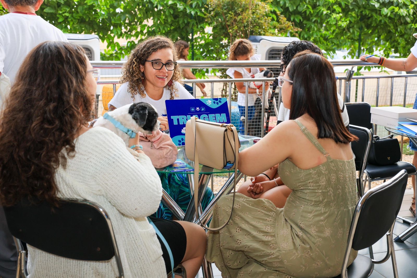 Prefeitura de Palmas disponibiliza animais para adoção em duas feiras neste sábado, 4