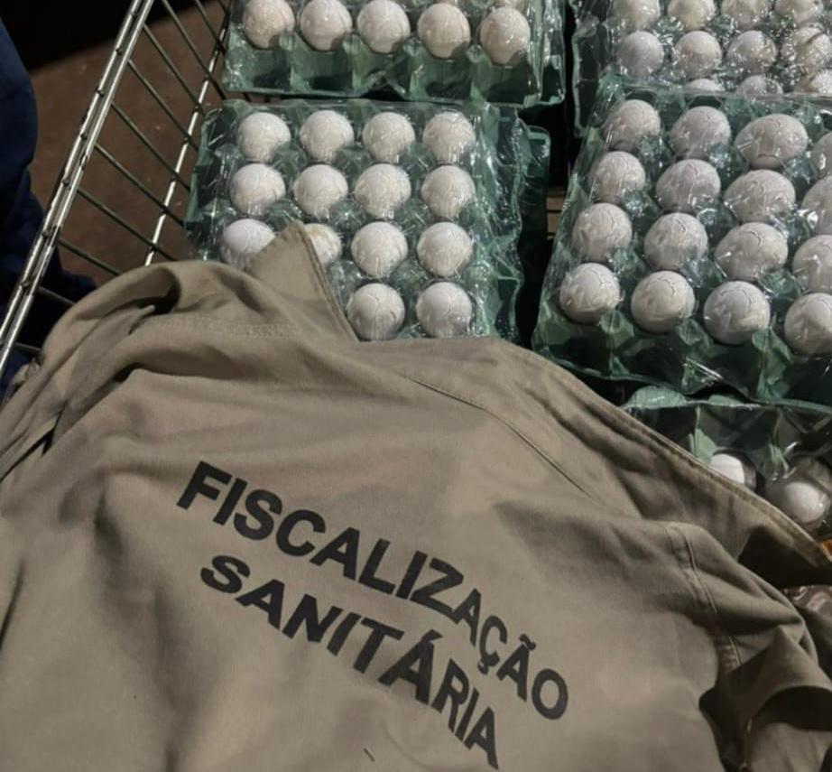 Operação "Pisando em ovos" foi deflagrada com denúncia anônima / Foto: Divulgação Semus