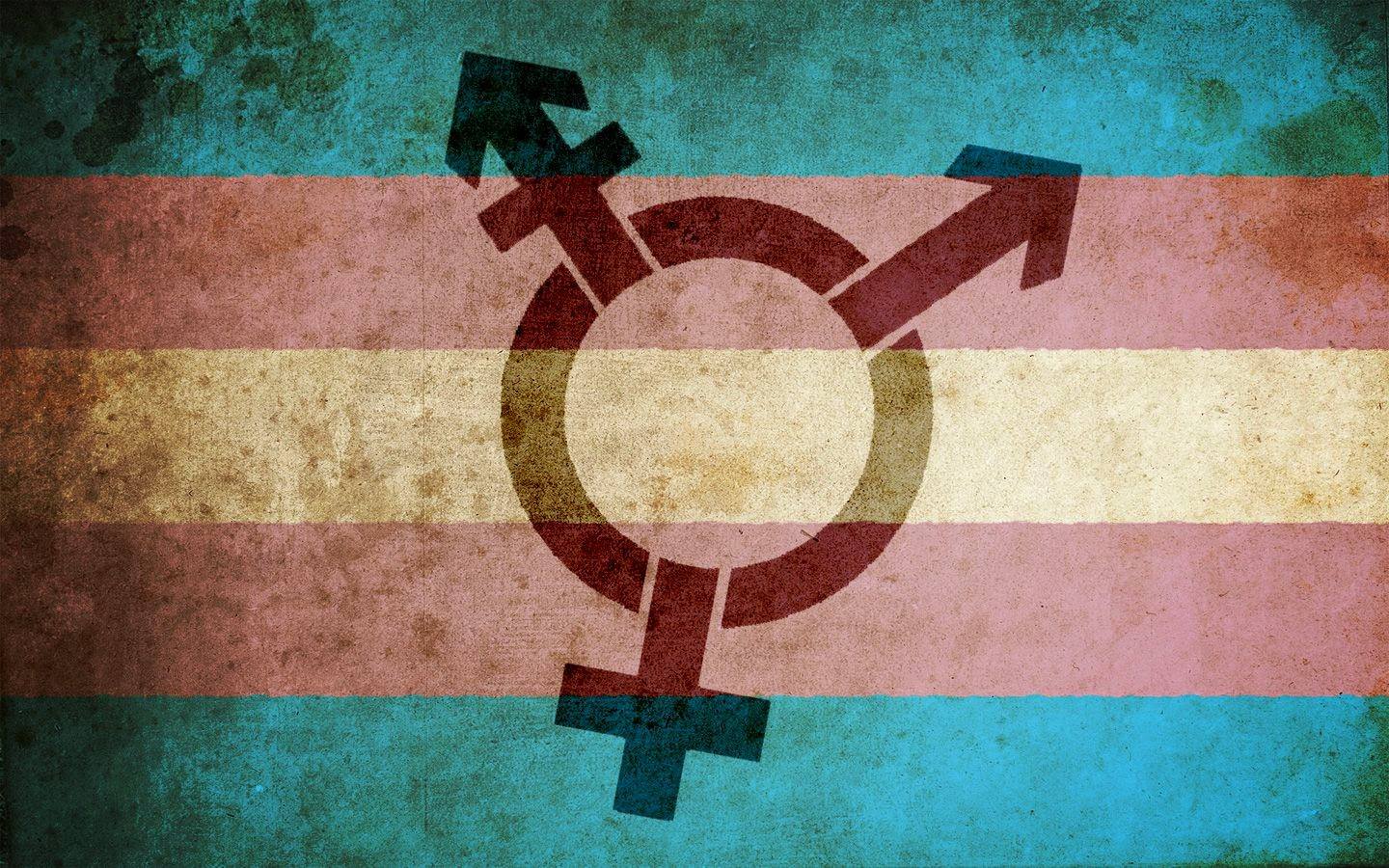 4º Encontro do Fórum Permanente de Saúde Mental debate acolhimento a pessoas trans no SUS