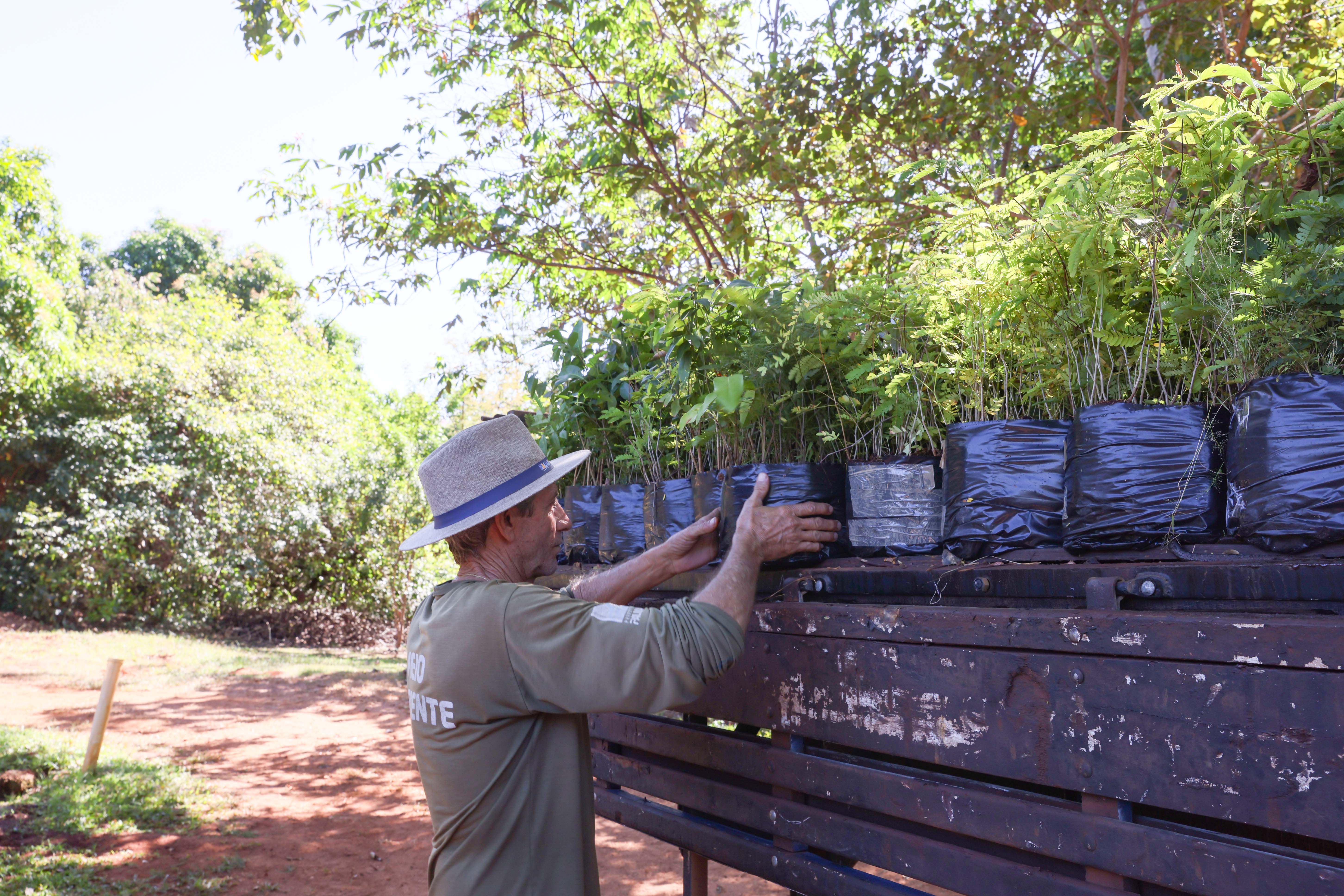 Horto Florestal fica localizado na Avenida LO-09, ao lado do Parque da Pessoa Idosa