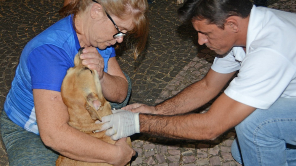 Vacinação e teste rápido de Leishmaniose são realizados na Praça dos Girassóis
