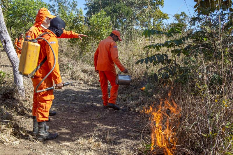 Brigadistas participam de treinamento com manejo e controle do fogo