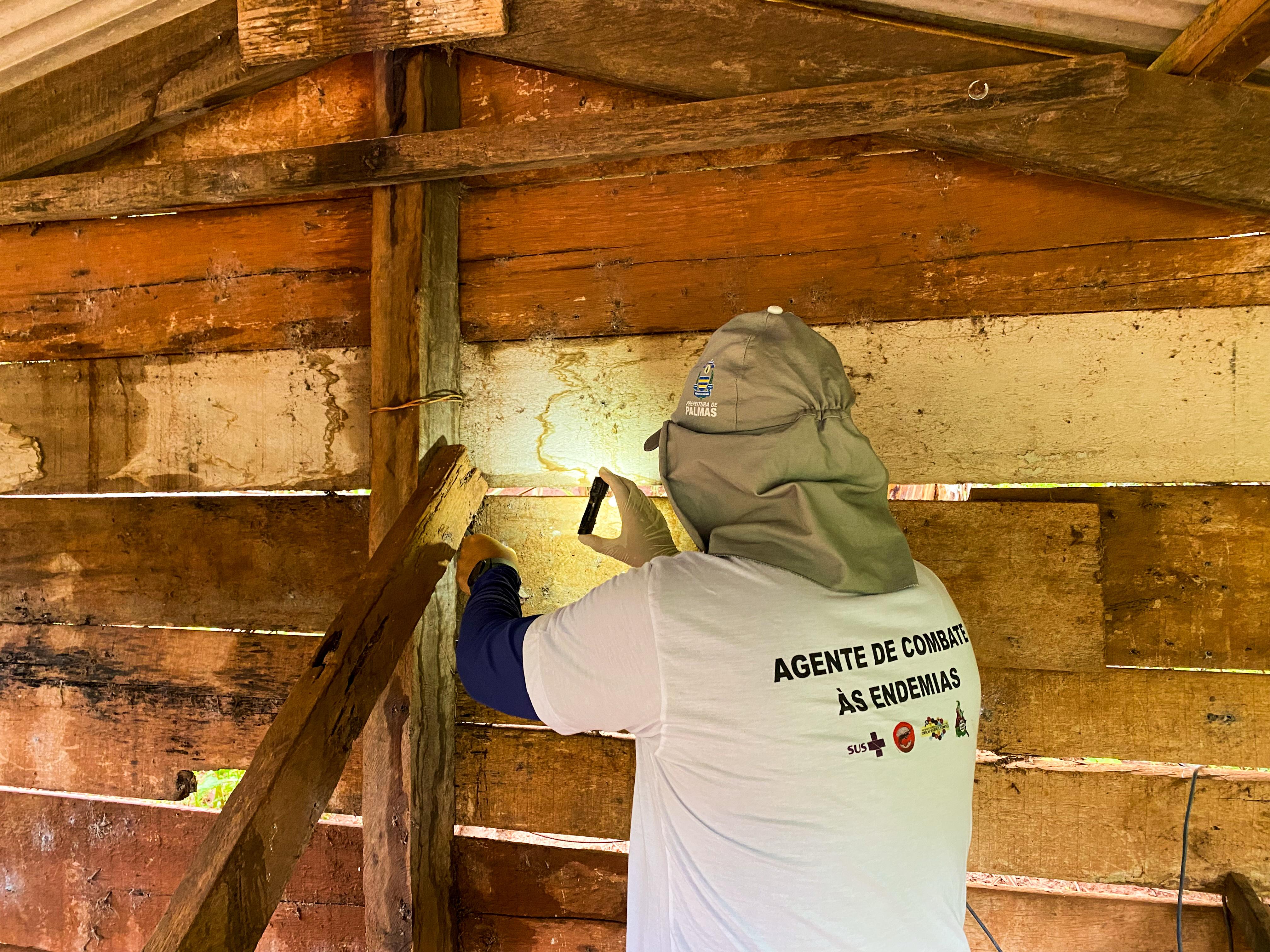 Melhor forma de prevenção continua sendo o controle do barbeiro e a eliminação de possíveis abrigos, como frestas em paredes e telhados
