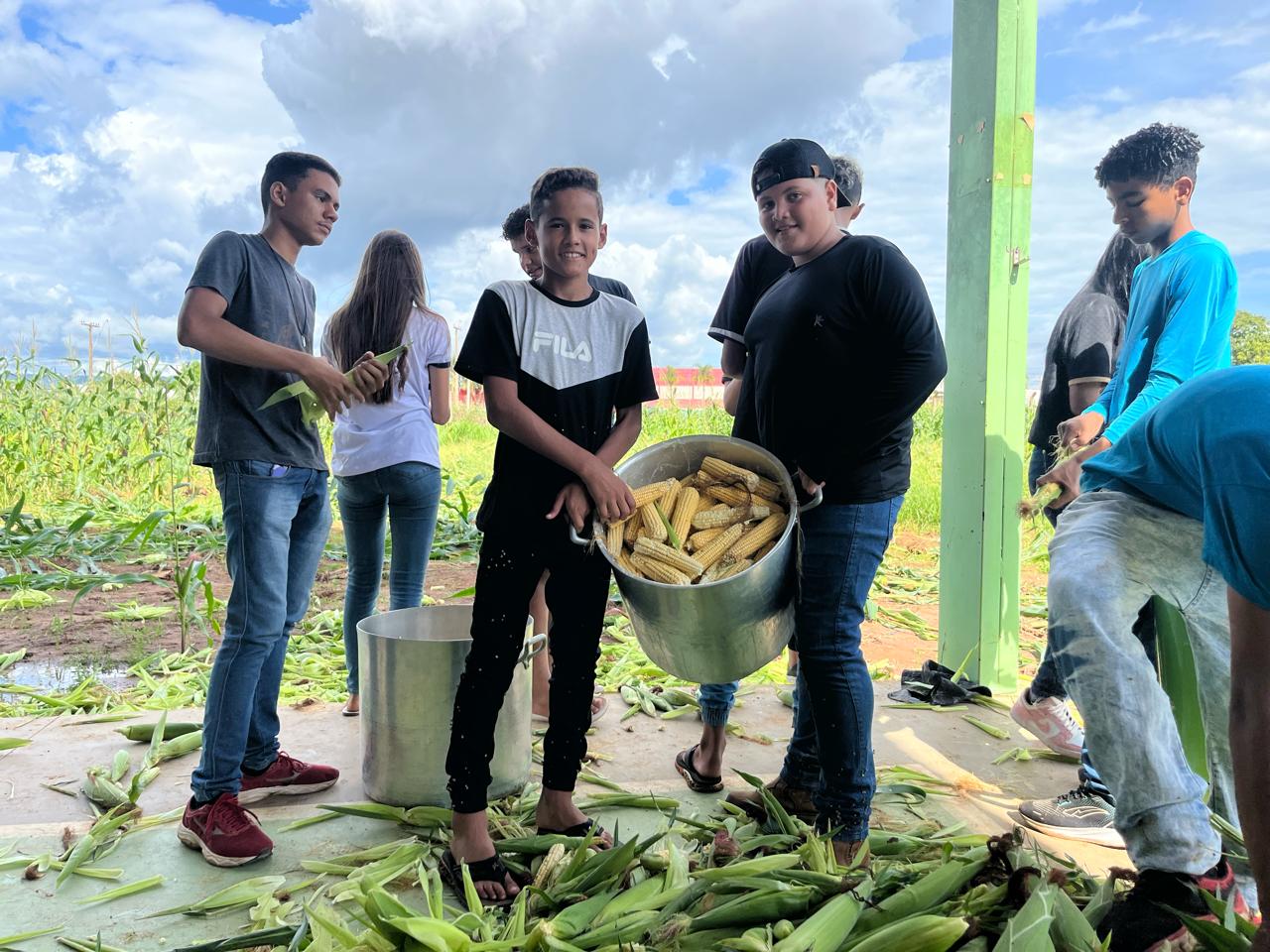 Alunos da rede municipal participam da colheita do milho do Projeto Germinar