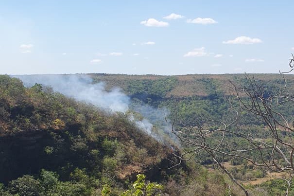 Defesa Civil de Palmas controla incêndio de grande proporções em Taquaruçu