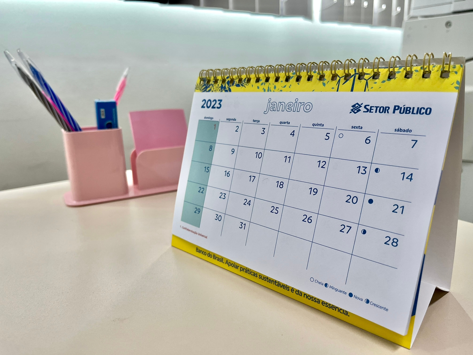 Entenda o que são semanas epidemiológicas e como são contadas