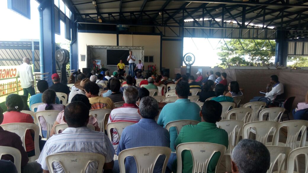 1º Congresso Agrifamiliar de Palmas discute gargalos no setor e aponta soluções para o agricultor