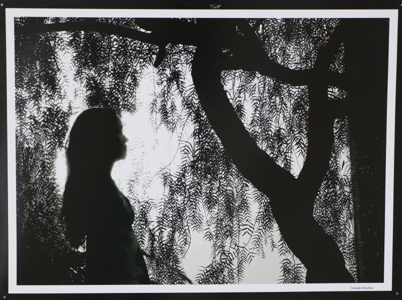 Fundação Cultural de Palmas recebe exposição ‘Nativos’, de Fernando Amazônia