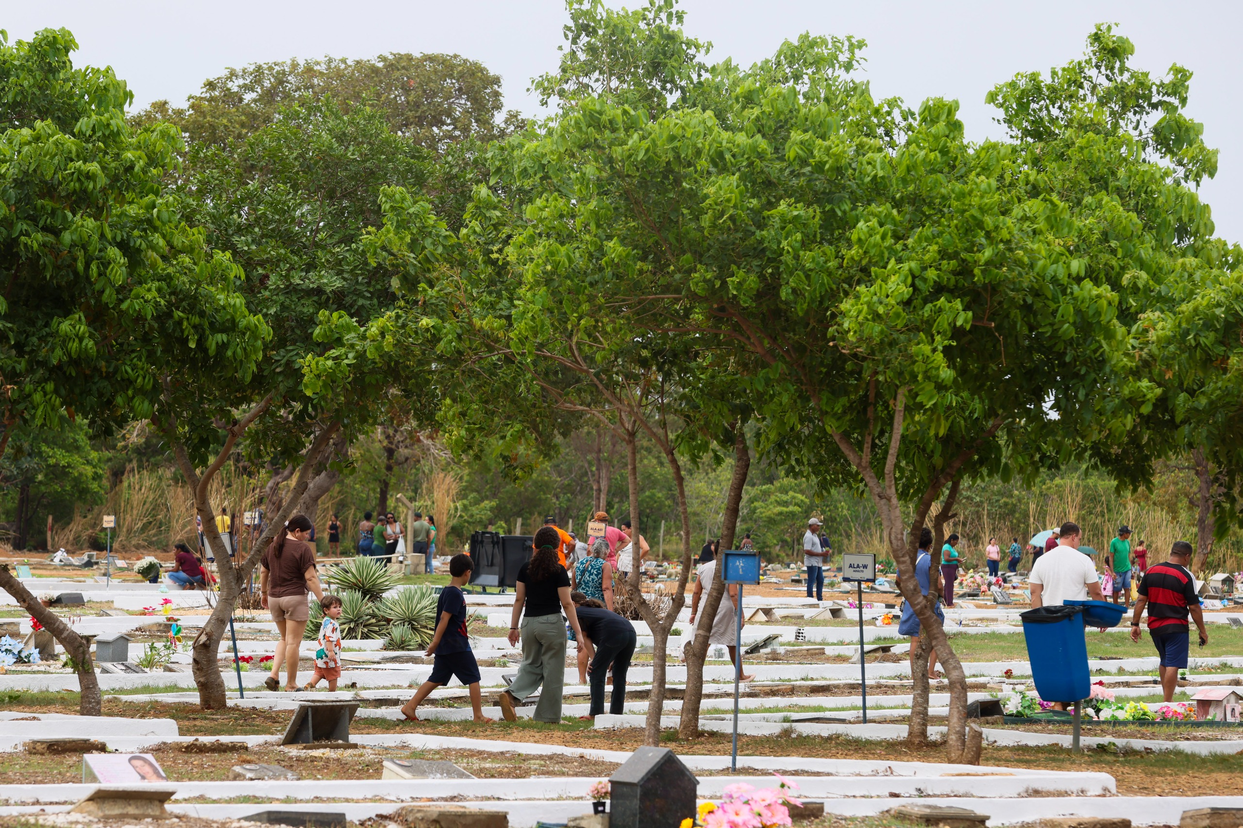 Segundo a organização, eram esperadas até 20 mil visitantes neste domingo, 2