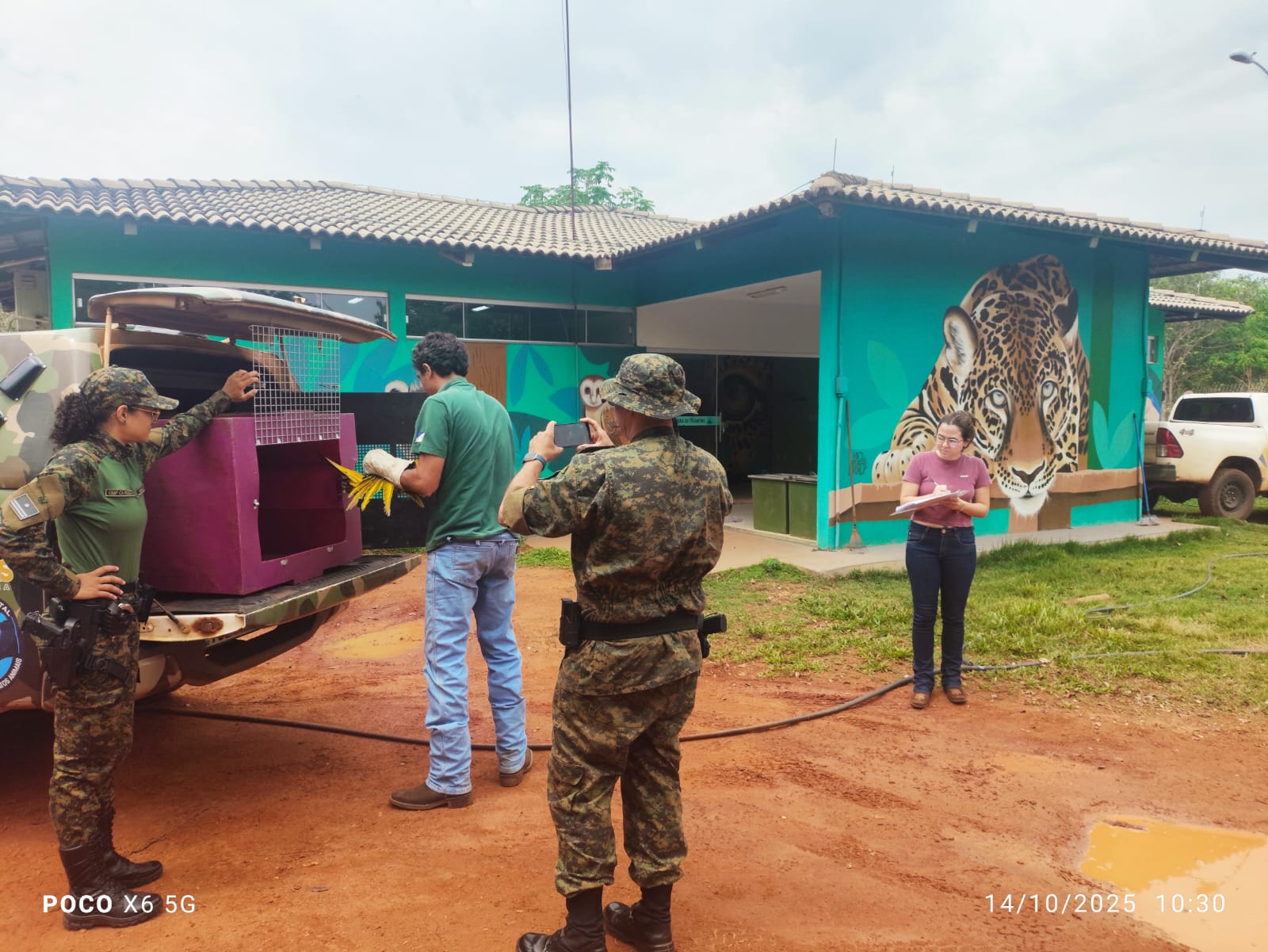 Equipe da Guarda Metropolitana Ambiental entrega arara-canindé ferida ao Centro de Fauna do Tocantins