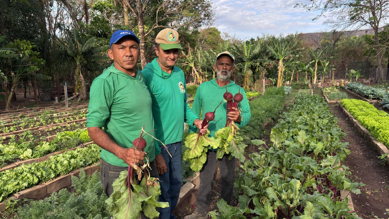 A larga produção de verduras e hortaliças na unidade atende a contento todos os alunos matriculados na ETI e ainda doações