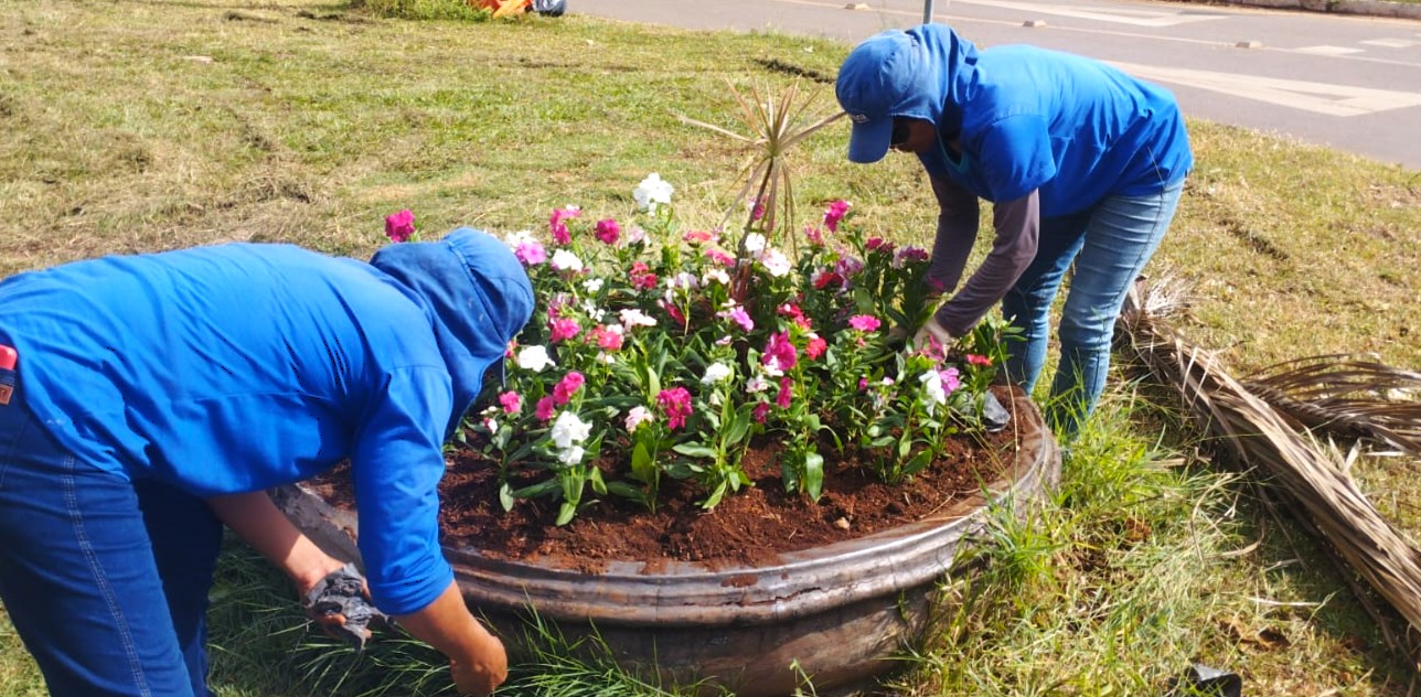 Plantio do Jardim Taquari