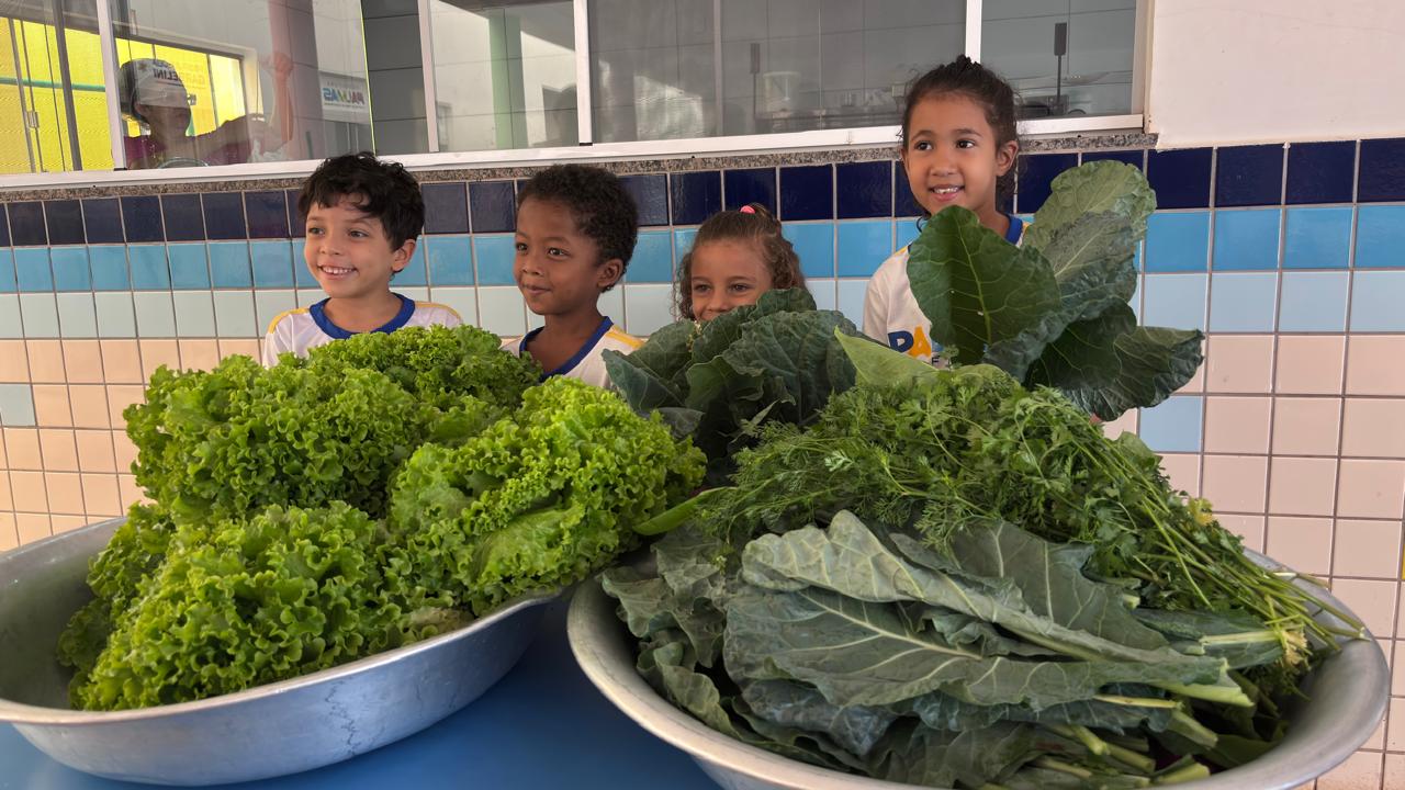 Escola de Palmas doa hortaliças cultivadas por seus alunos a Cmei