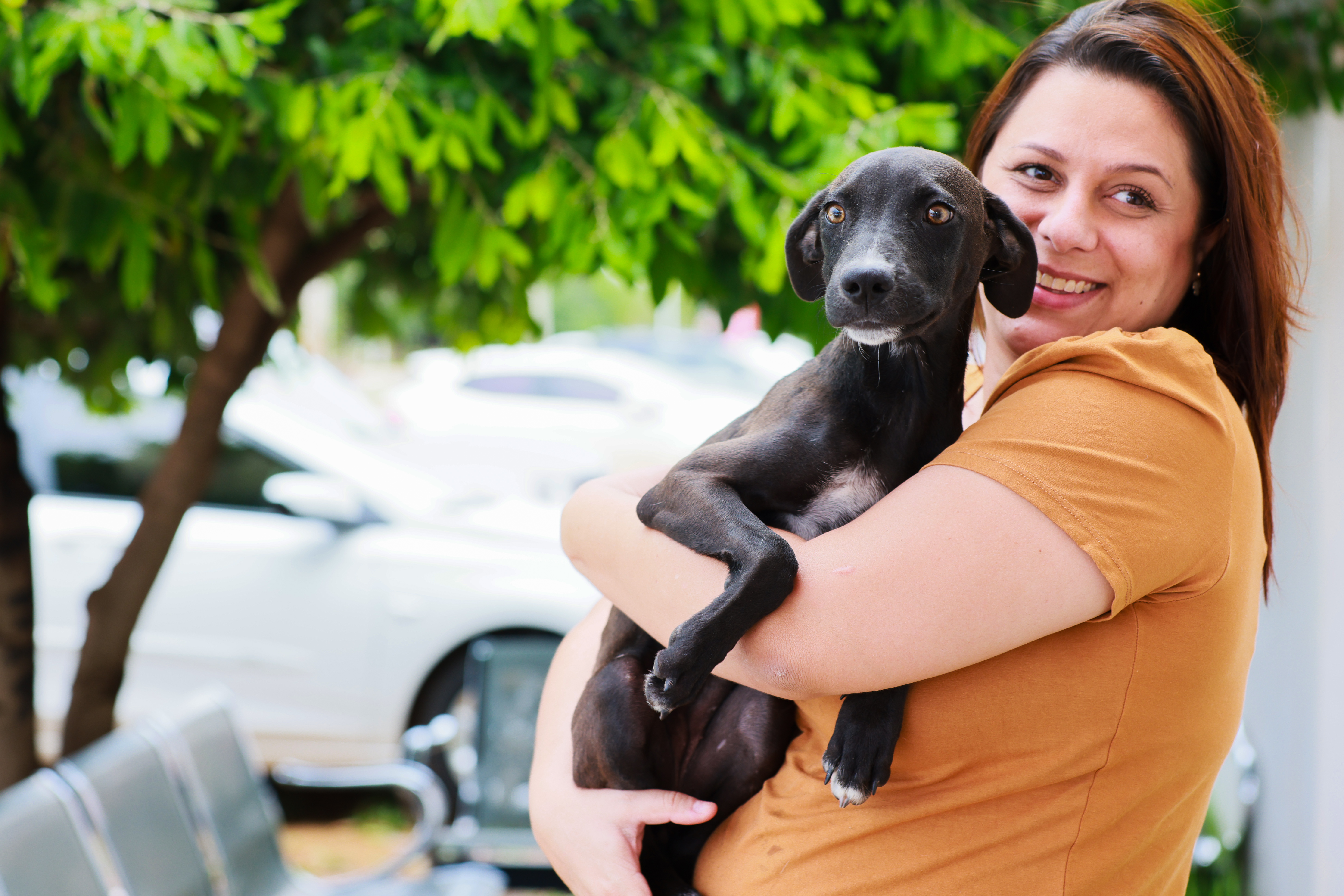 Blitz do Abril Laranja reforça cuidados com os animais em Palmas