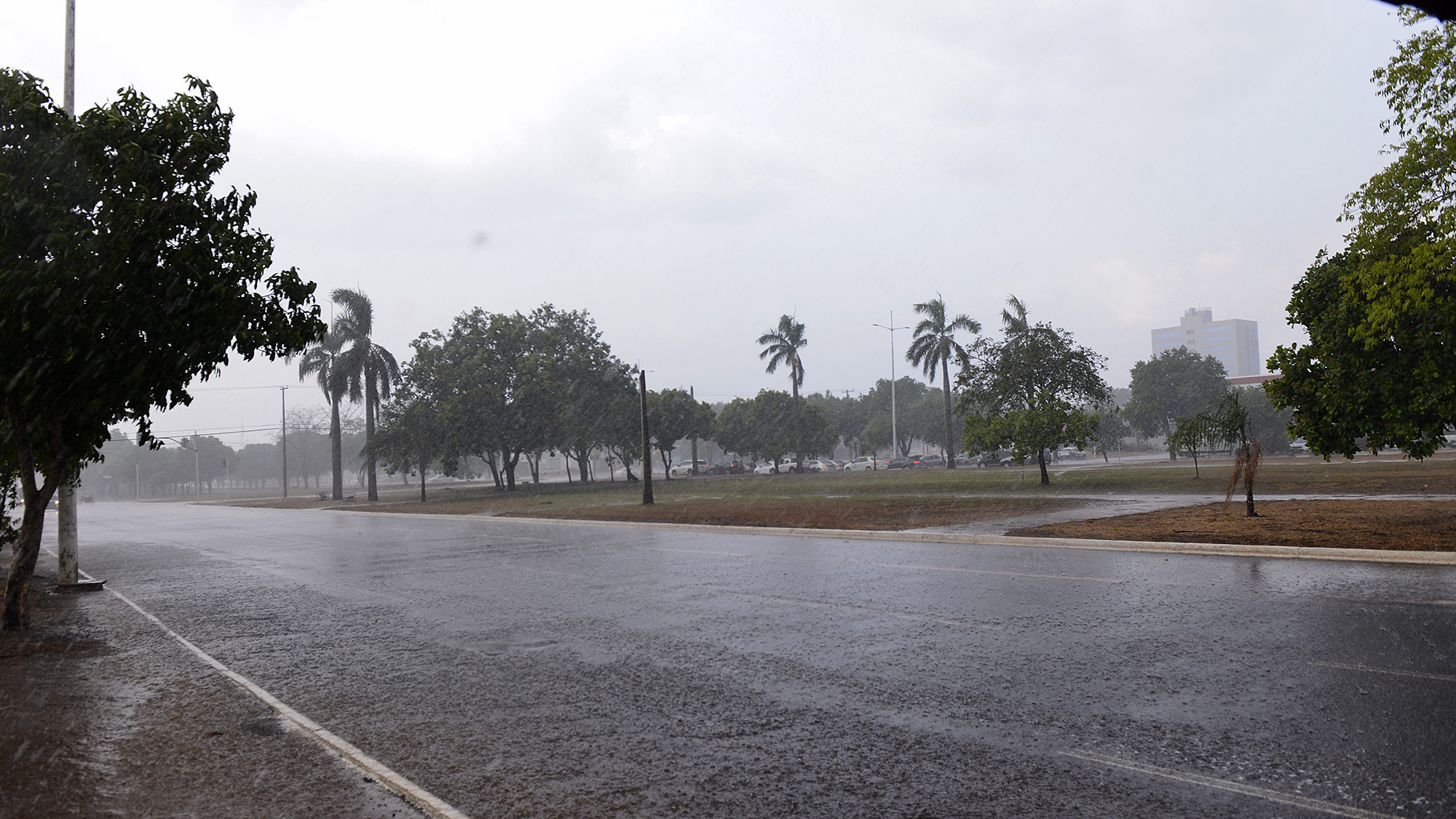 Período chuvoso com temporais na Capital pode trazer riscos e Defesa Civil de Palmas dá dicas de cuidados