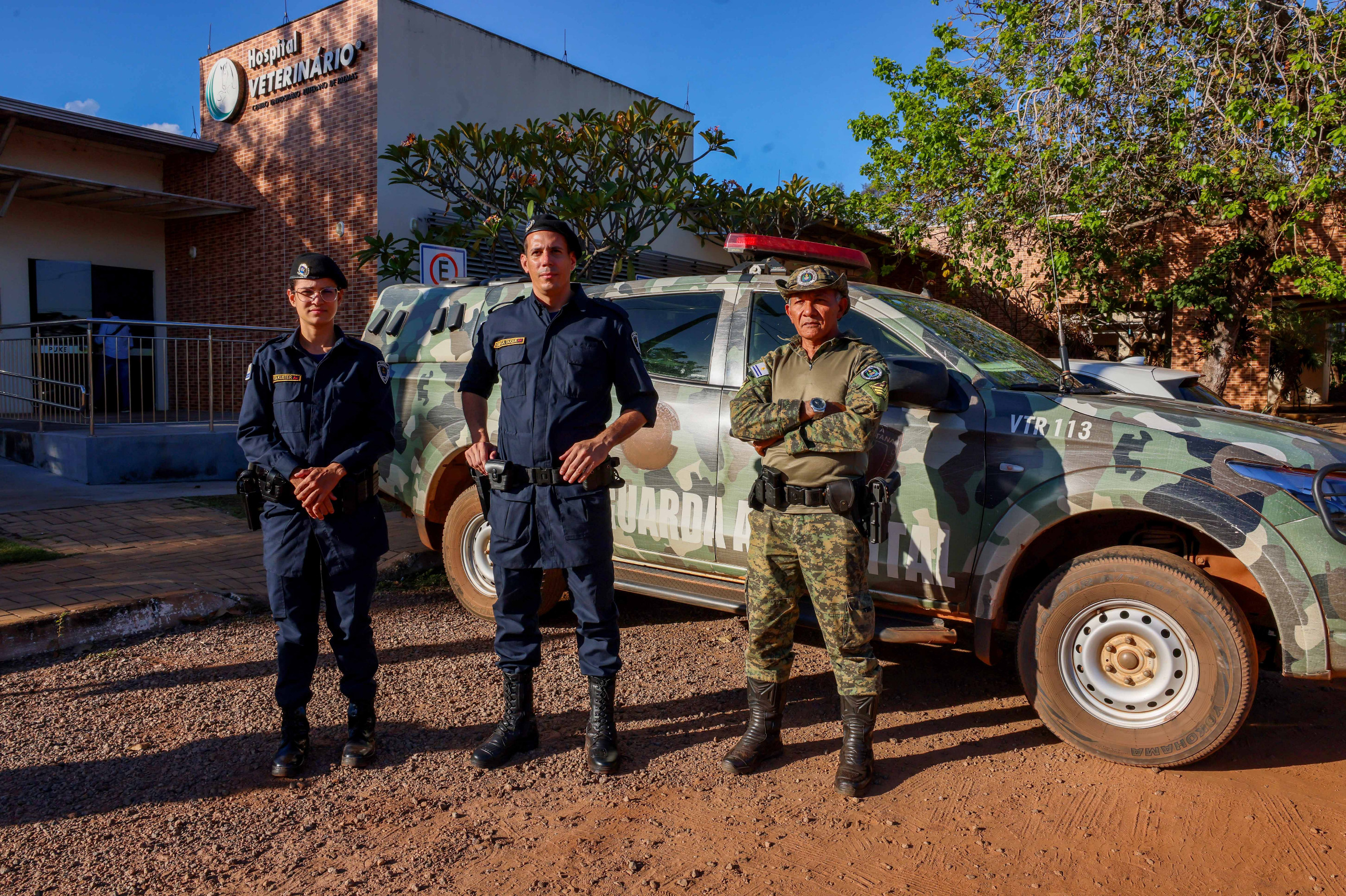 Equipe da Guarda Metropolitana Ambiental resgata animal ferido em Taquaralto