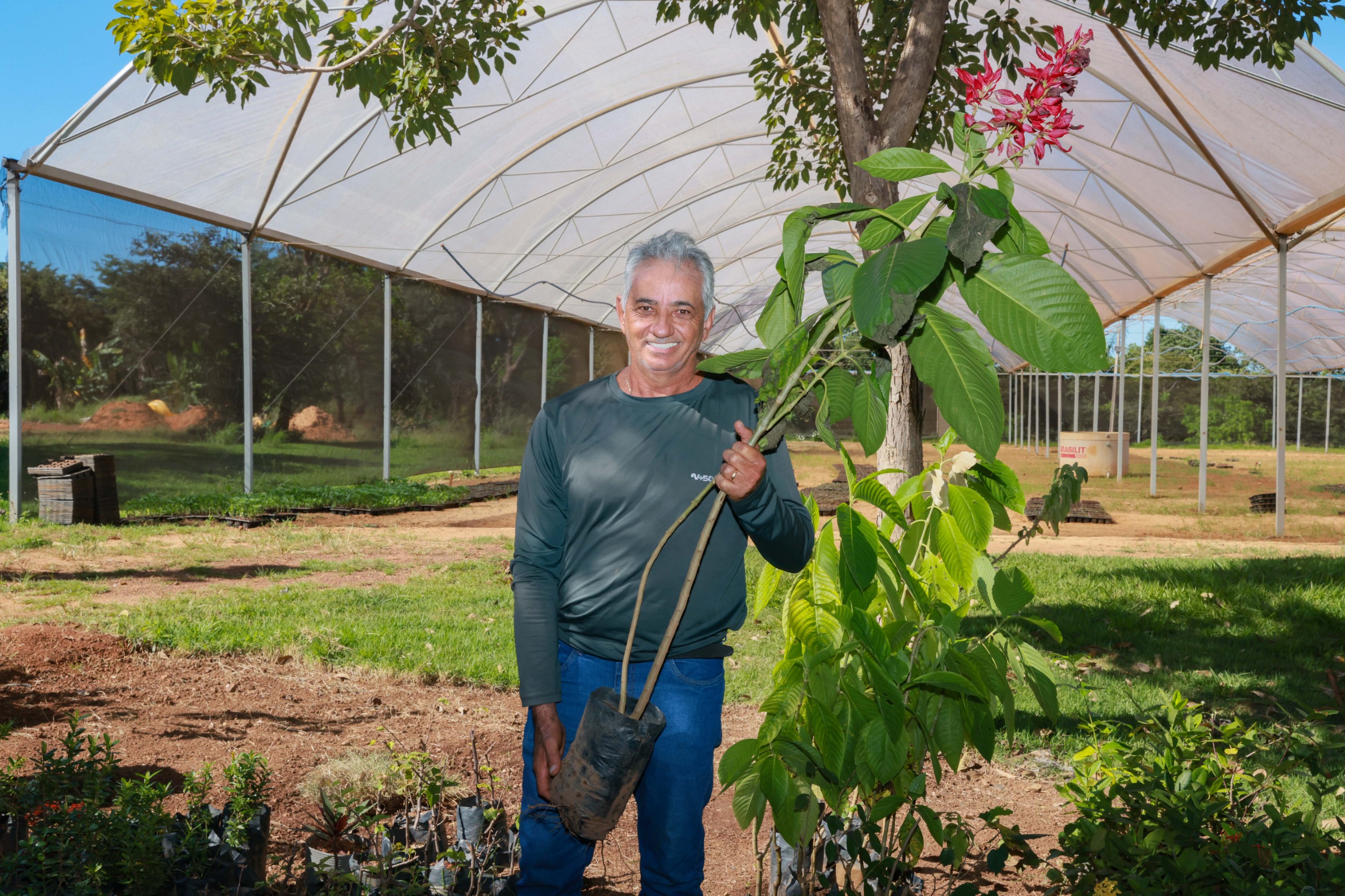 Histórias de Amor a Palmas: garimpeiro troca o ouro pelo verde e se transforma no jardineiro que ajudou a semear Palmas