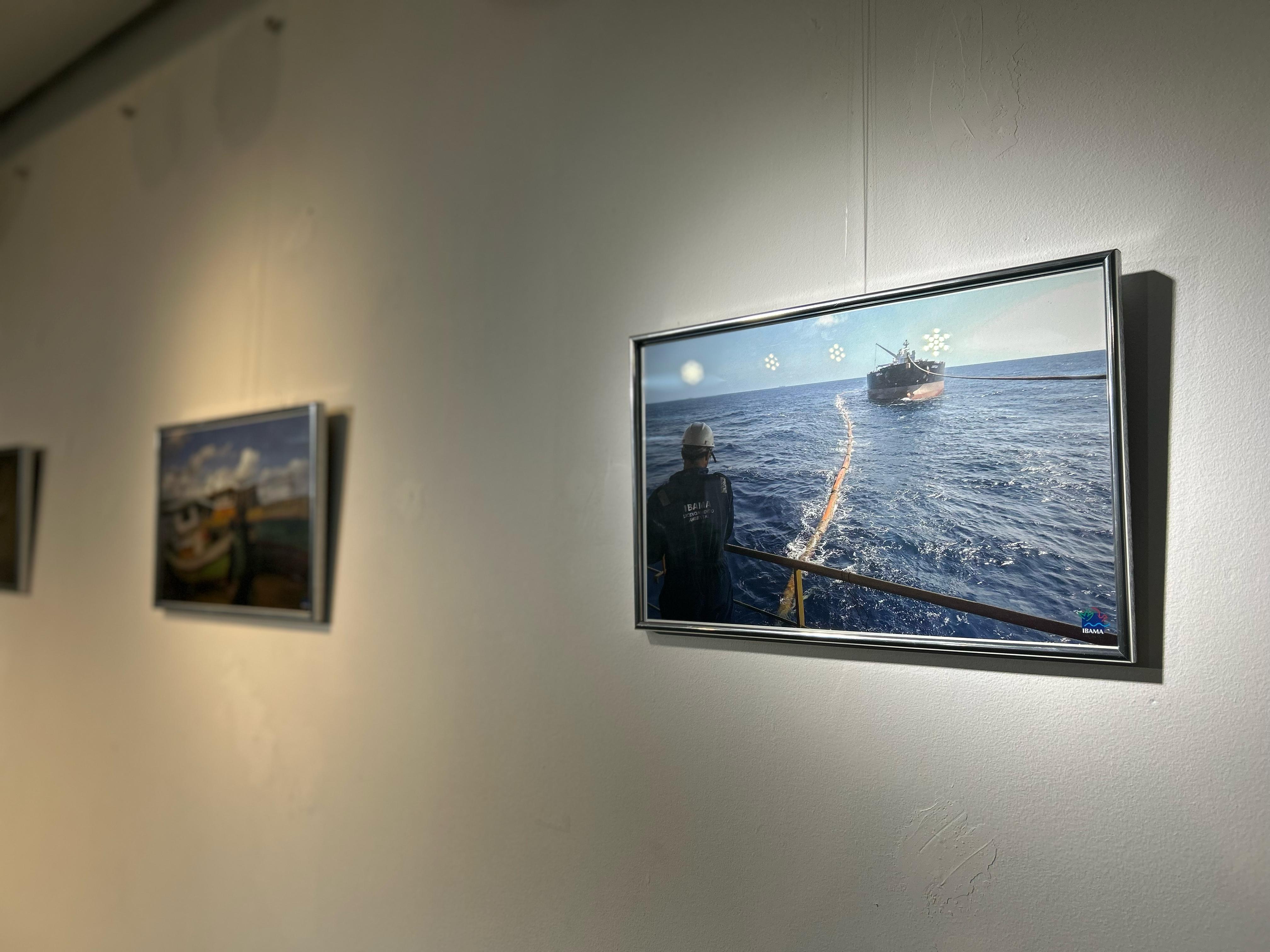 Exposição busca conscientizar a população sobre a importância da proteção ambiental