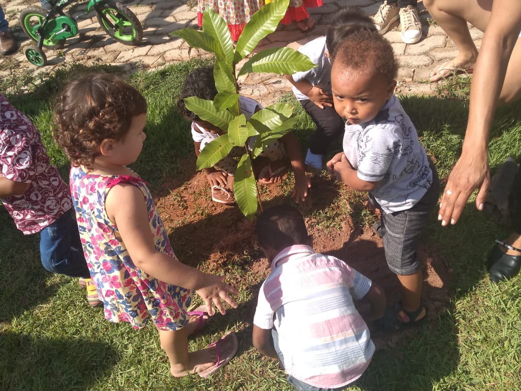 Fundação de Meio Ambiente promove plantio de mudas em Taquaruçu e sensibilização sobre coleta seletiva