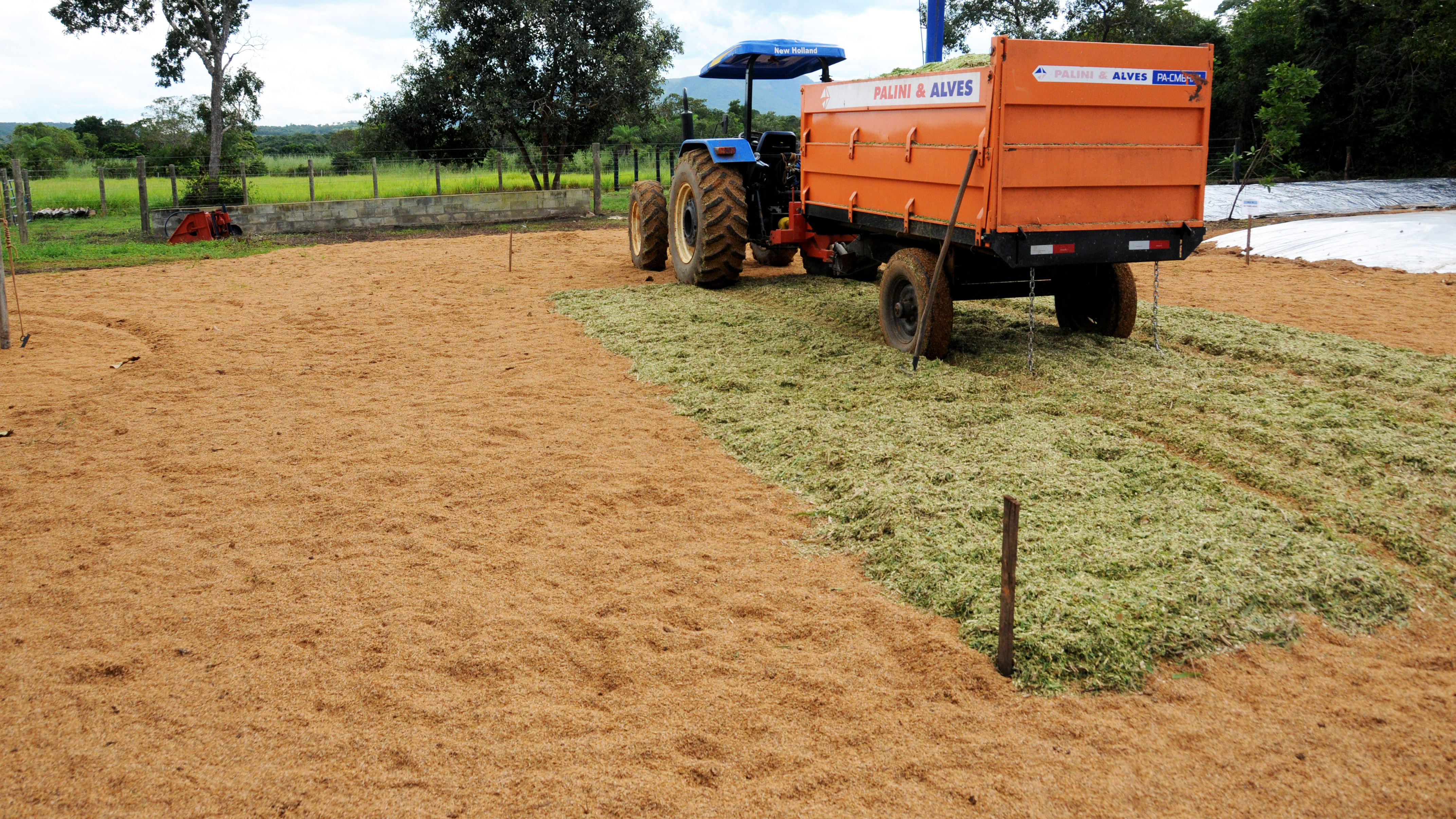 Dia de Campo ensina técnicas para integração lavoura-pecuária