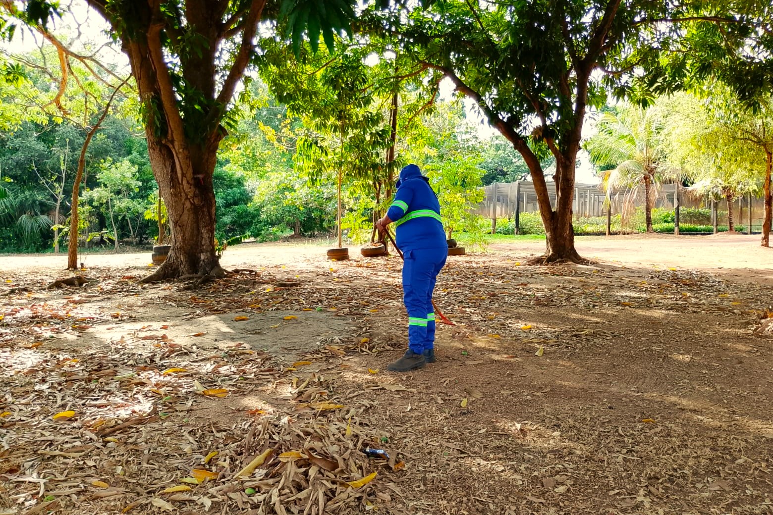 Recolhimento de folhas no Parque da Pessoa Idosa