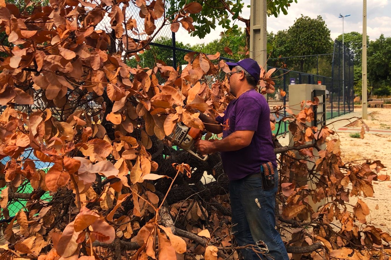 Houve retirada de galhada na Arso 53 (507 Sul)