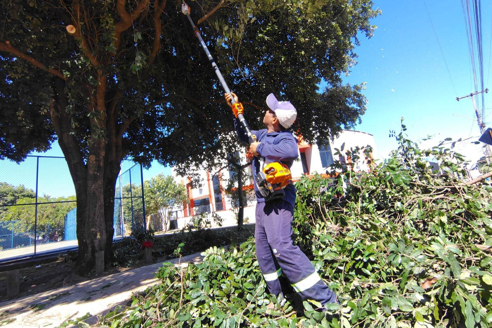 Poda de árvores faz parte da manutenção de praças - Foto: Zeladoria Urbana/Divulgação