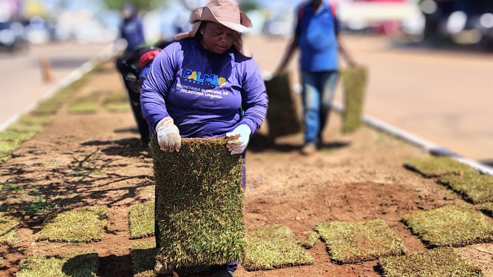 Prefeitura de Palmas realiza paisagismo do canteiro central da Avenida LO-10